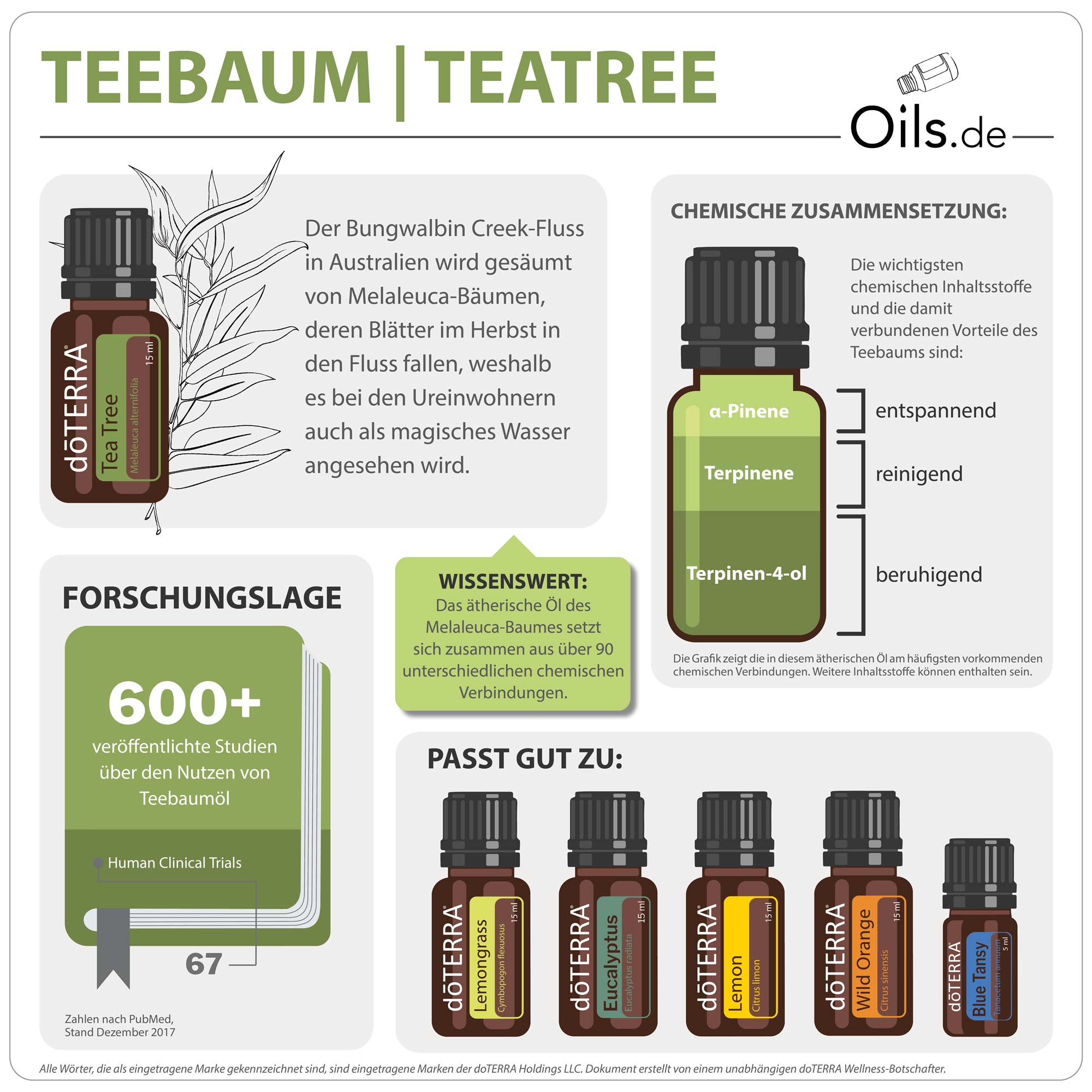 doTERRA Tee Trea | Teebaum | Melaleuca | Informationen