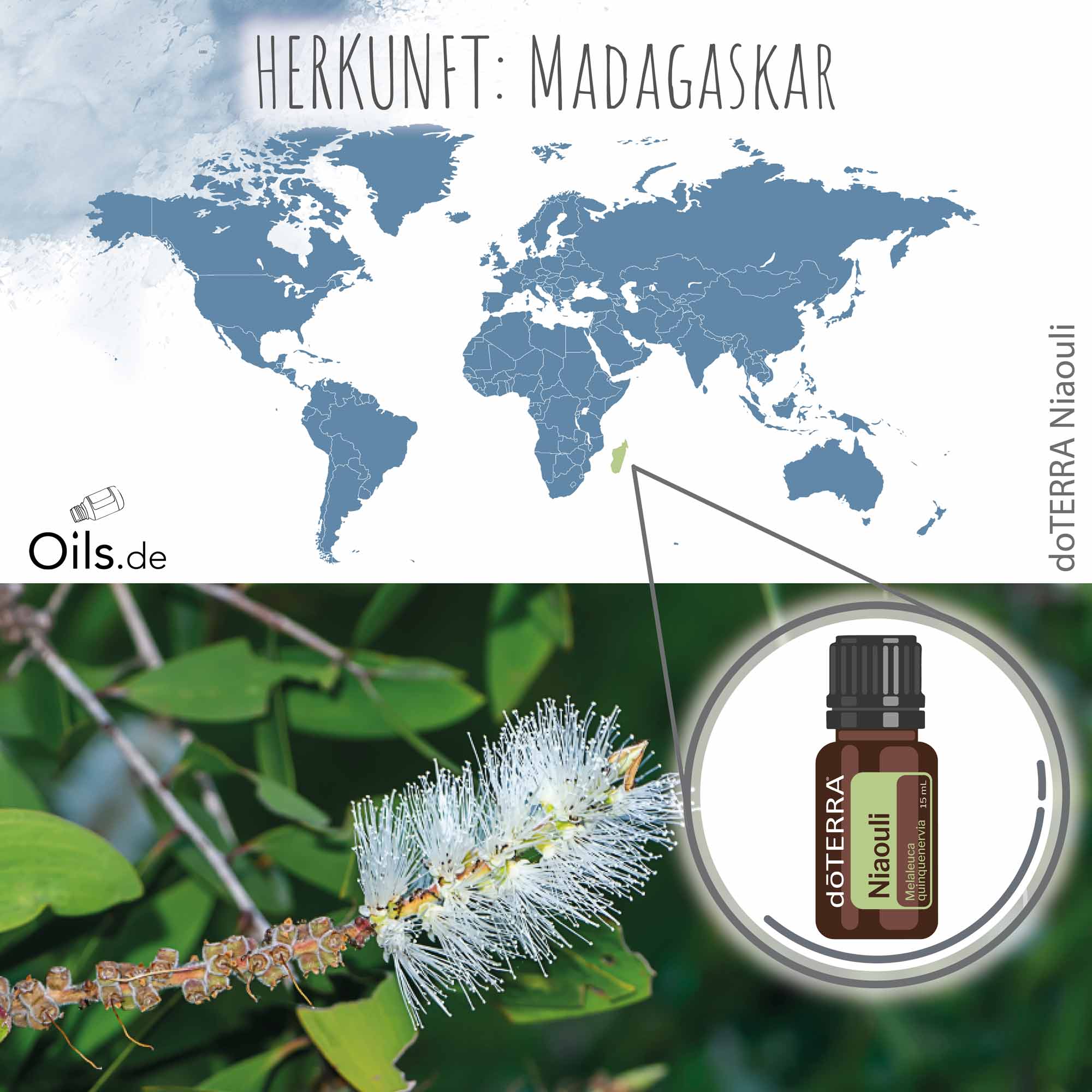doTERRA Niaouli | Myrtenheide | Herkunft