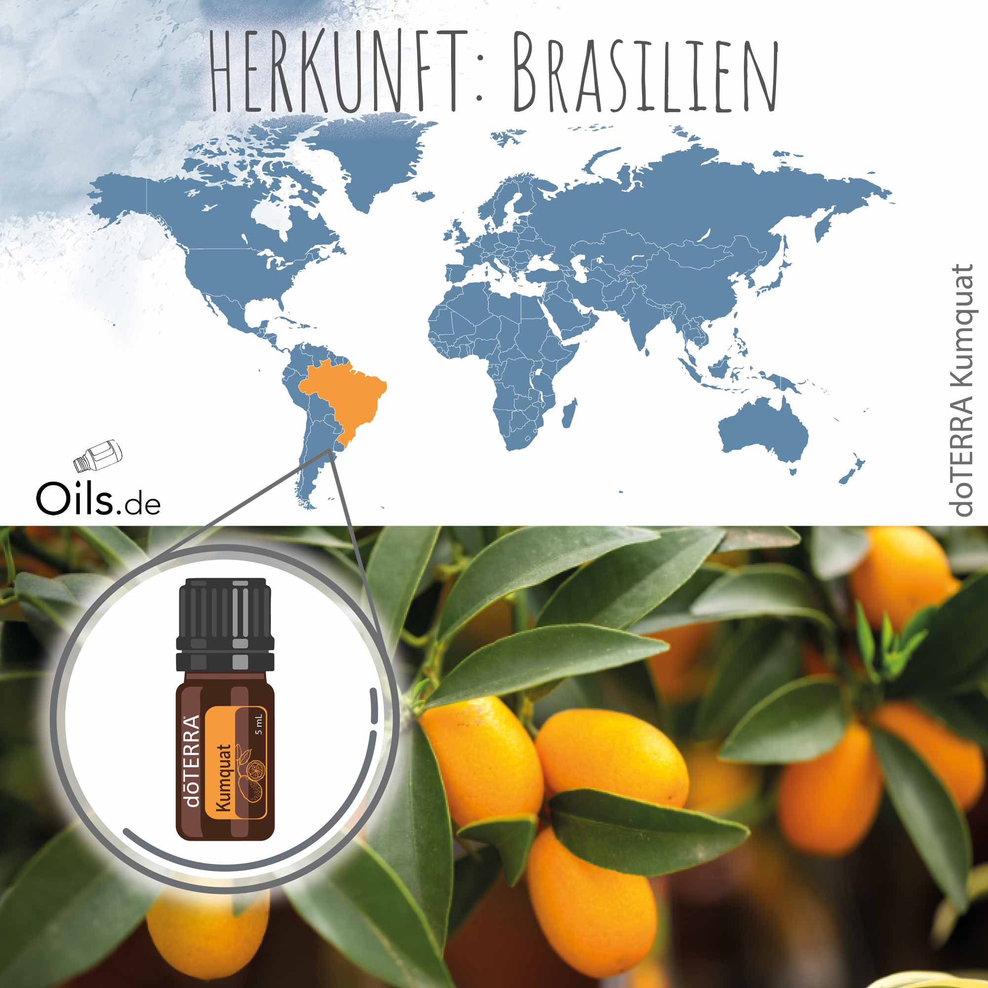 doTERRA Kumquat | Zwergorange | Herkunft