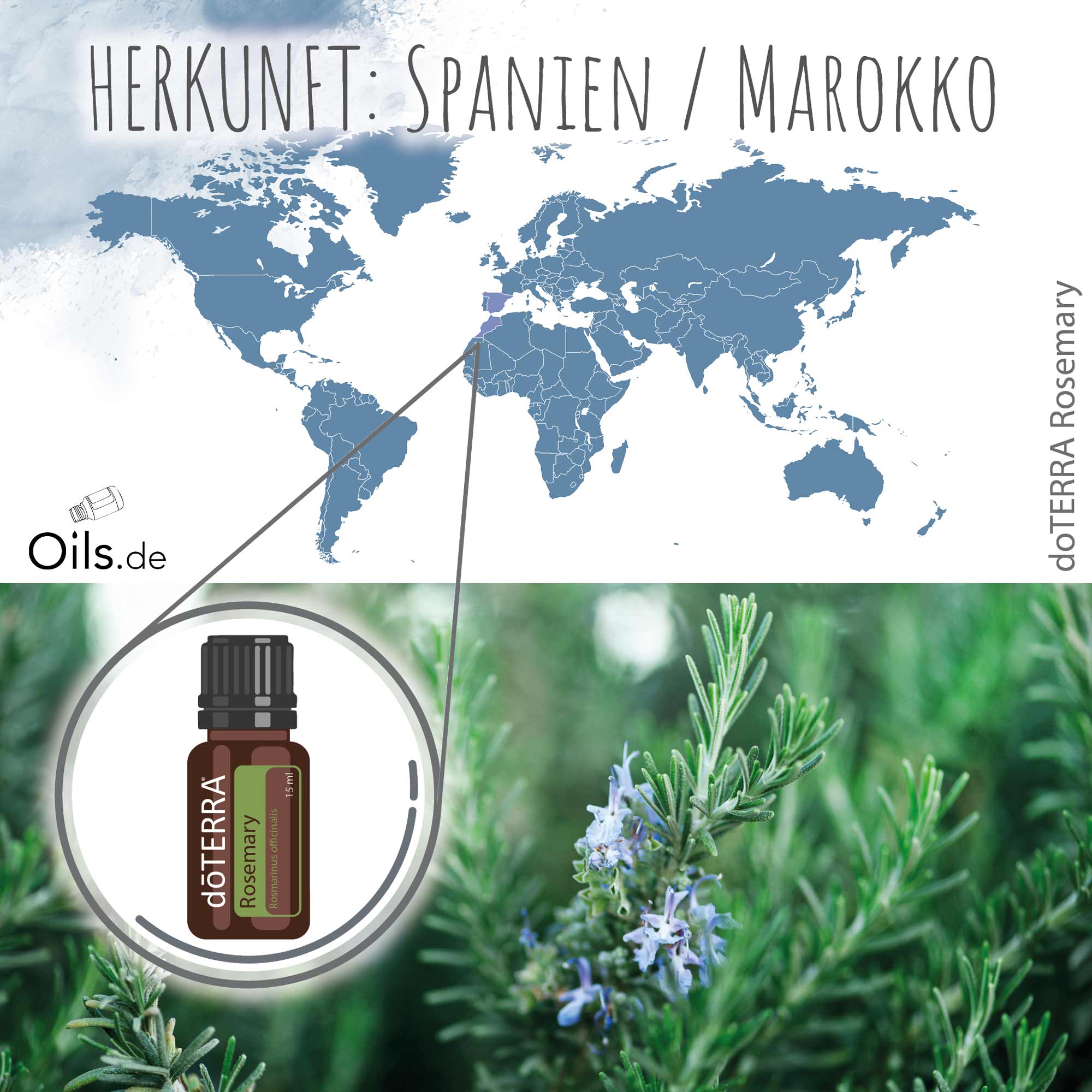 doTERRA Rosmarin | Herkunft