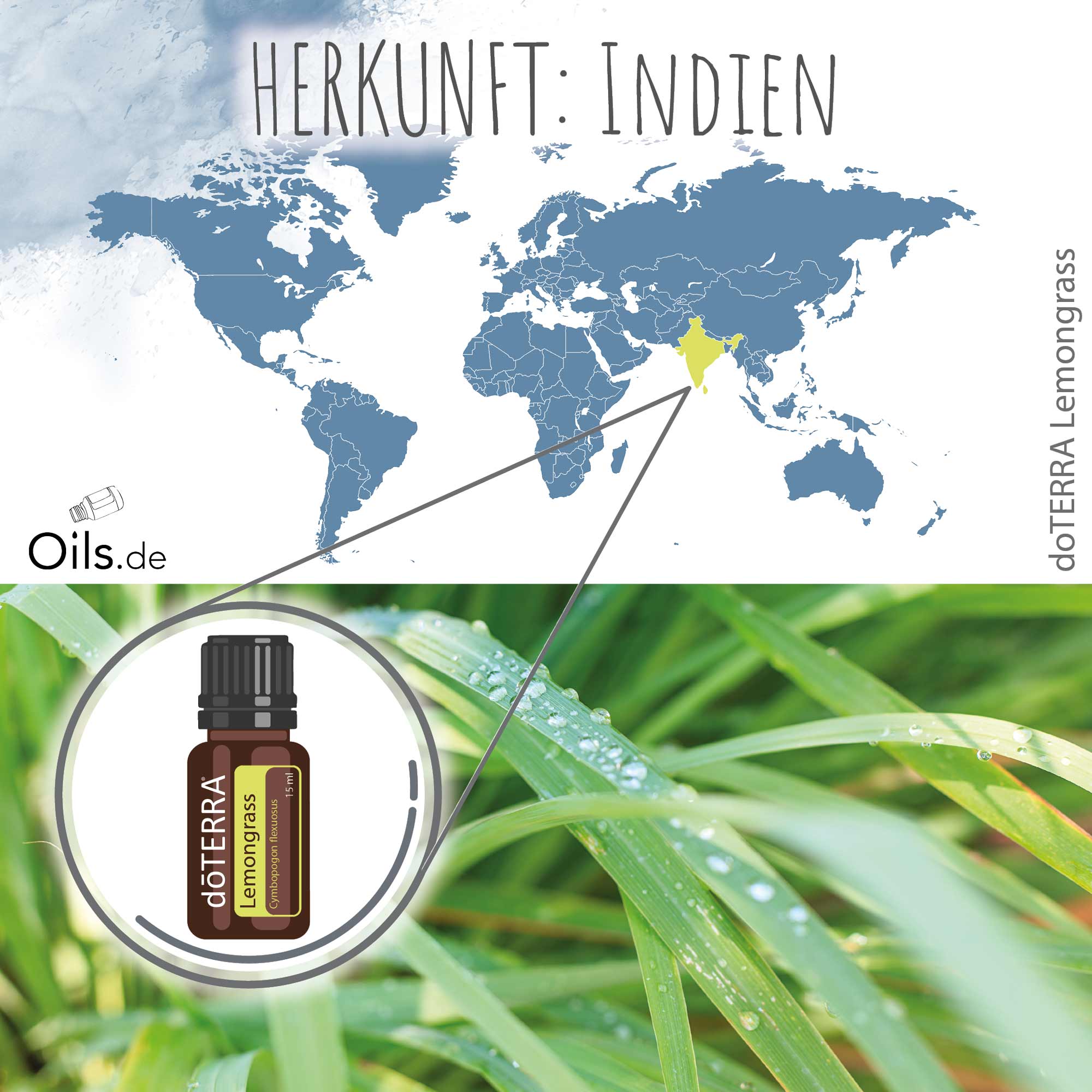 doTERRA-Zitronengras-Lemongrass-Herkunft doTERRA Zitronengras | Lemongrass | Herkunft