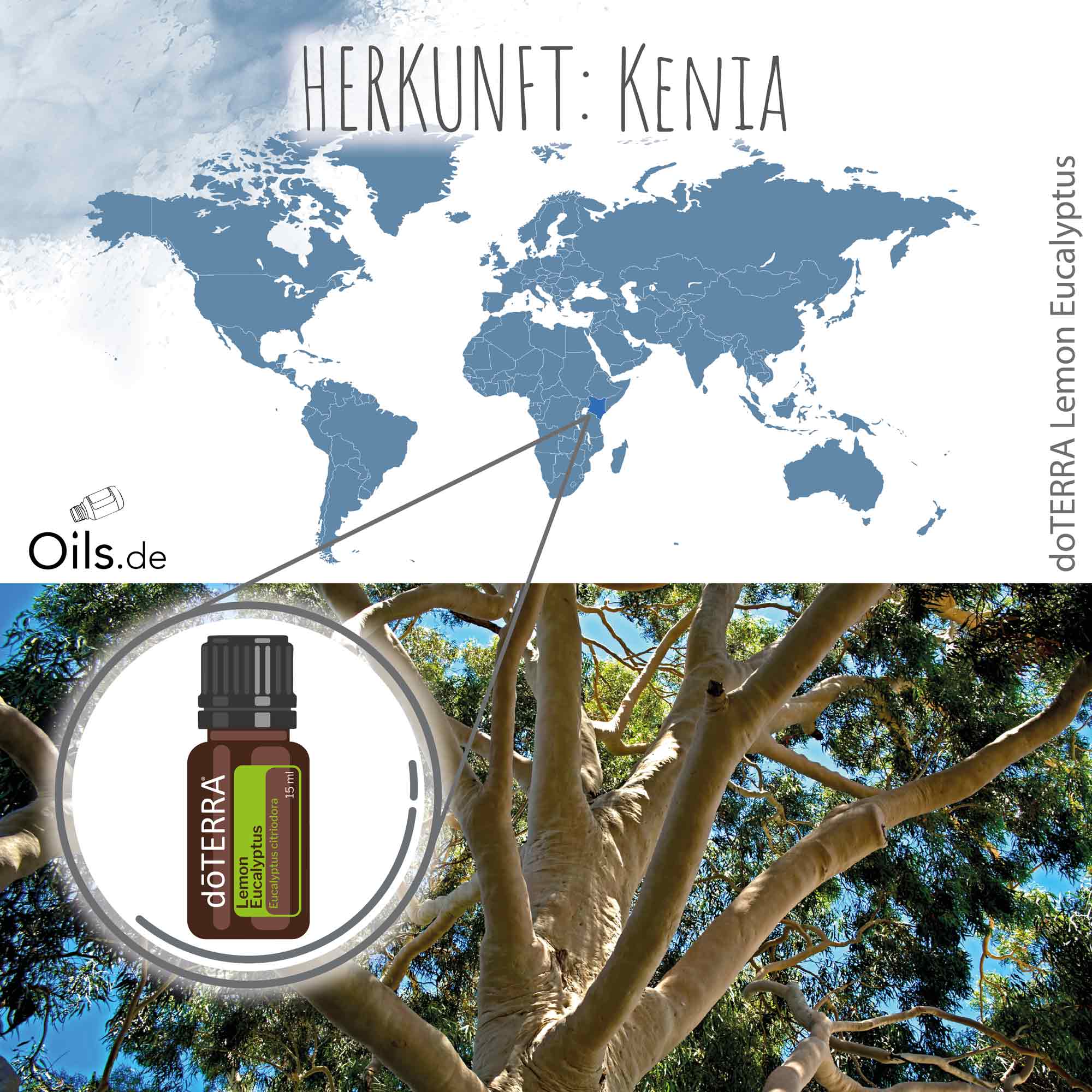 doTERRA | Zitronen-Eukalyptus | Lemon-Eucalyptus | Herkunft