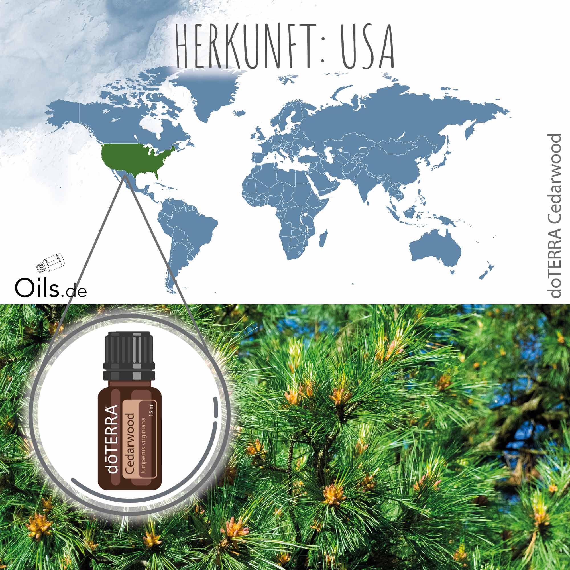 doTERRA Zedernholz Cedarwood Herkunft