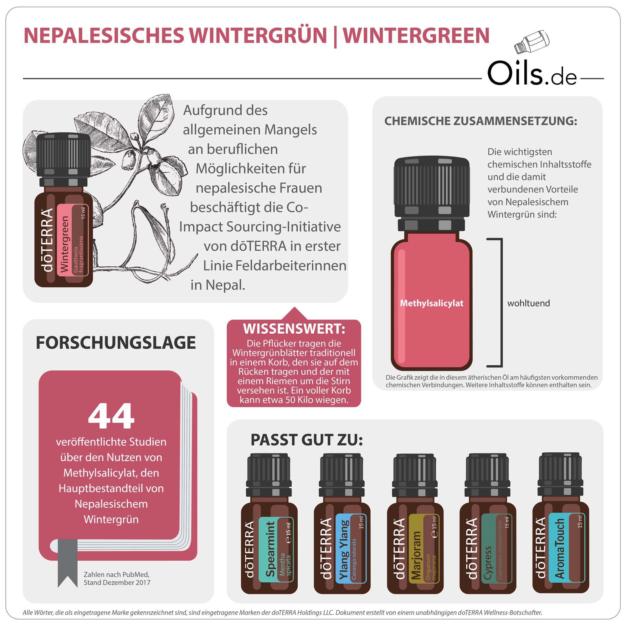 doTERRA Wintergreen | Nepalesisches Wintergrün | Informationen