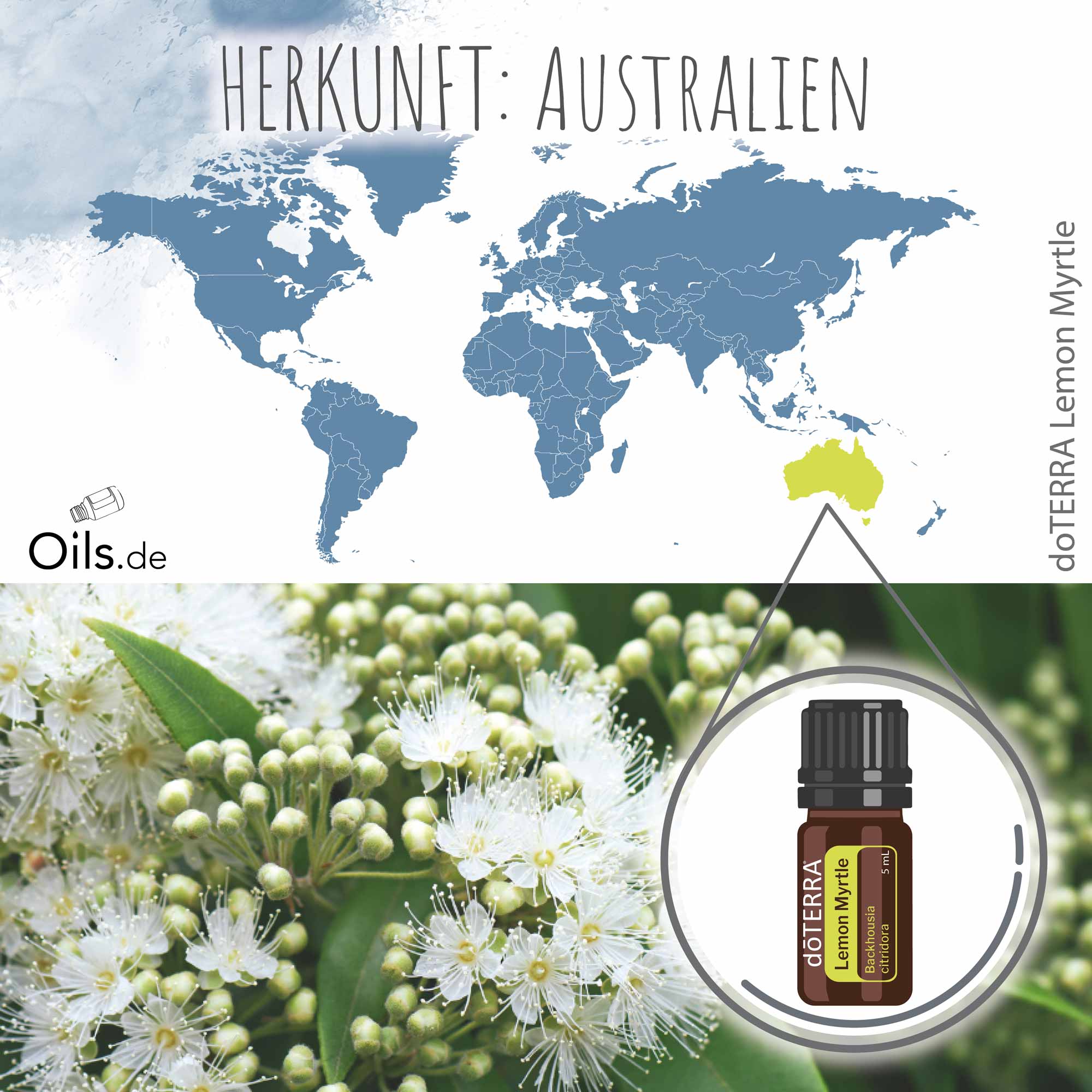 doTERRA-Zitronenmyrte-Herkunft doTERRA Zitronenmyrte | Herkunft