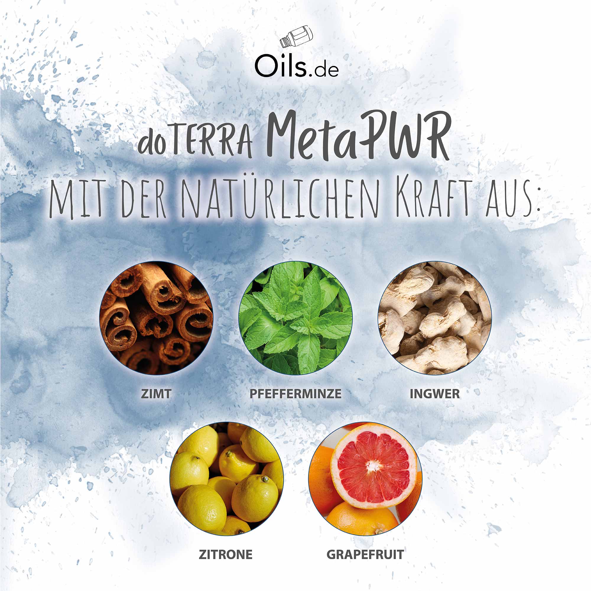 doTERRA MetaPWR | Inhaltsstoffe