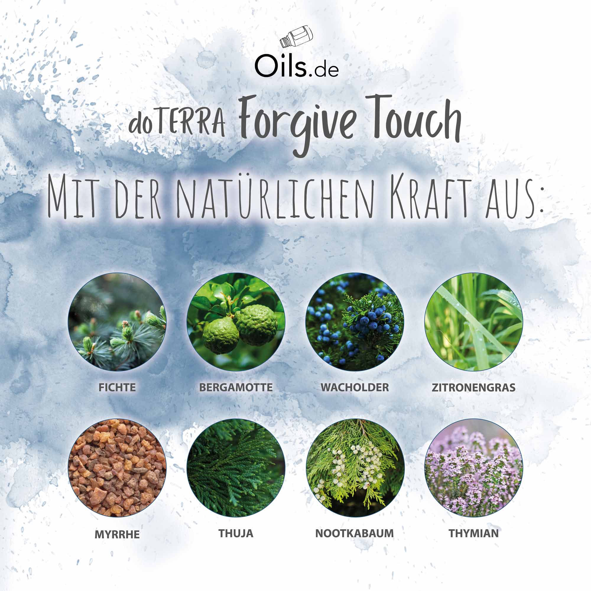 doTERRA Forgive Touch Inhaltsstoffe