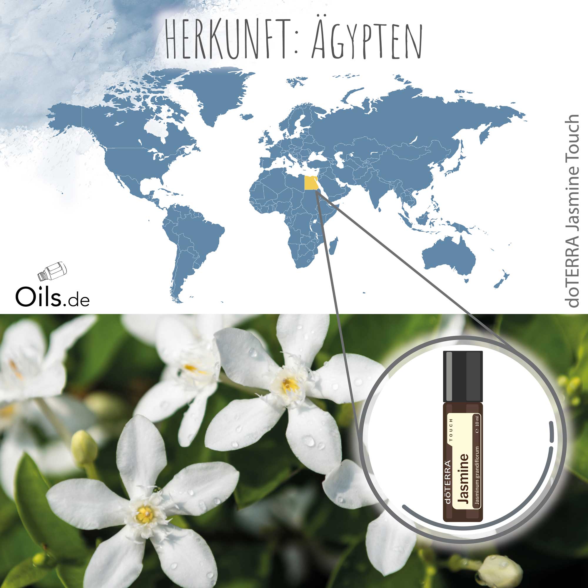doTERRA Jasmine Touch | Herkunft