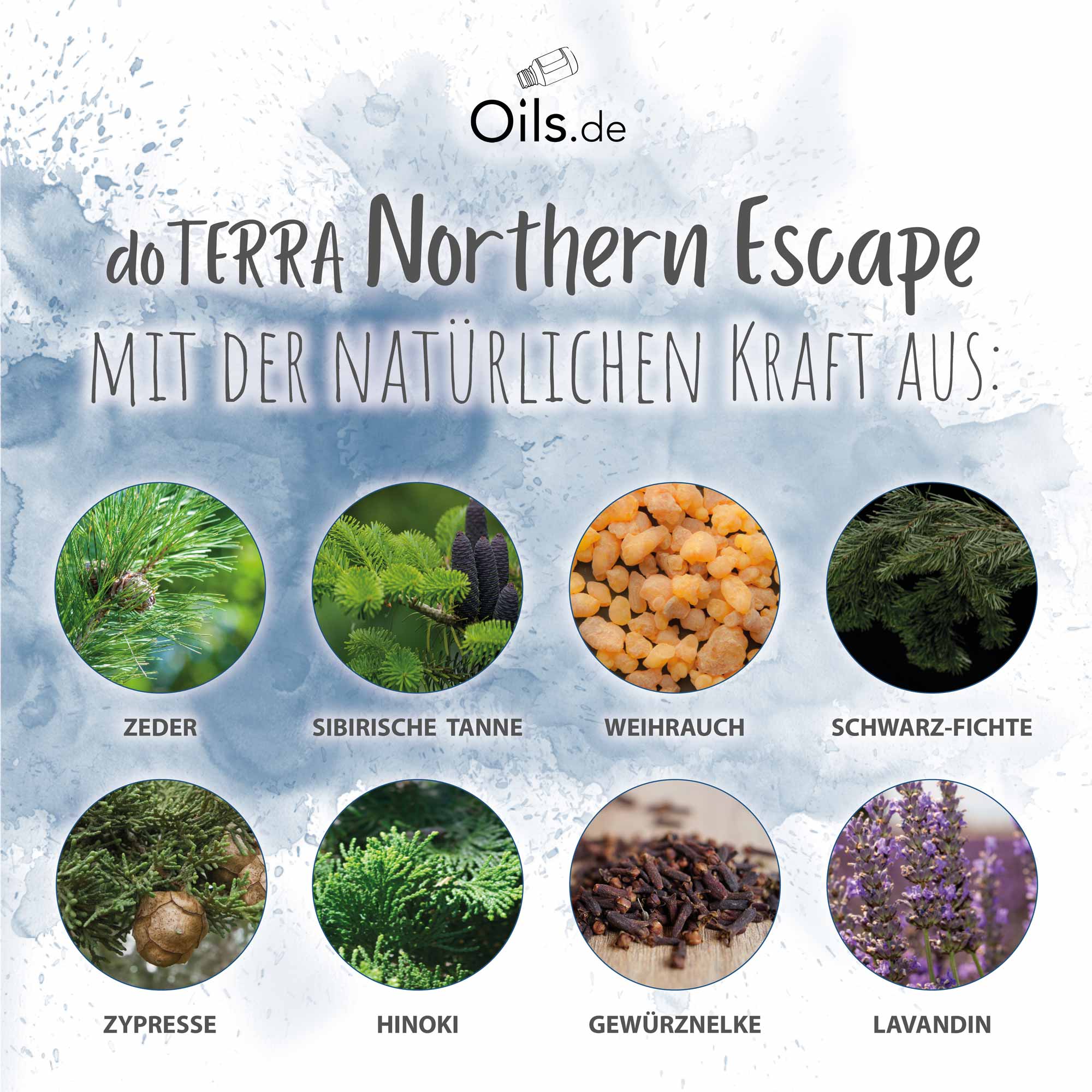 doTERRA Northern Escape | Inhaltsstoffe