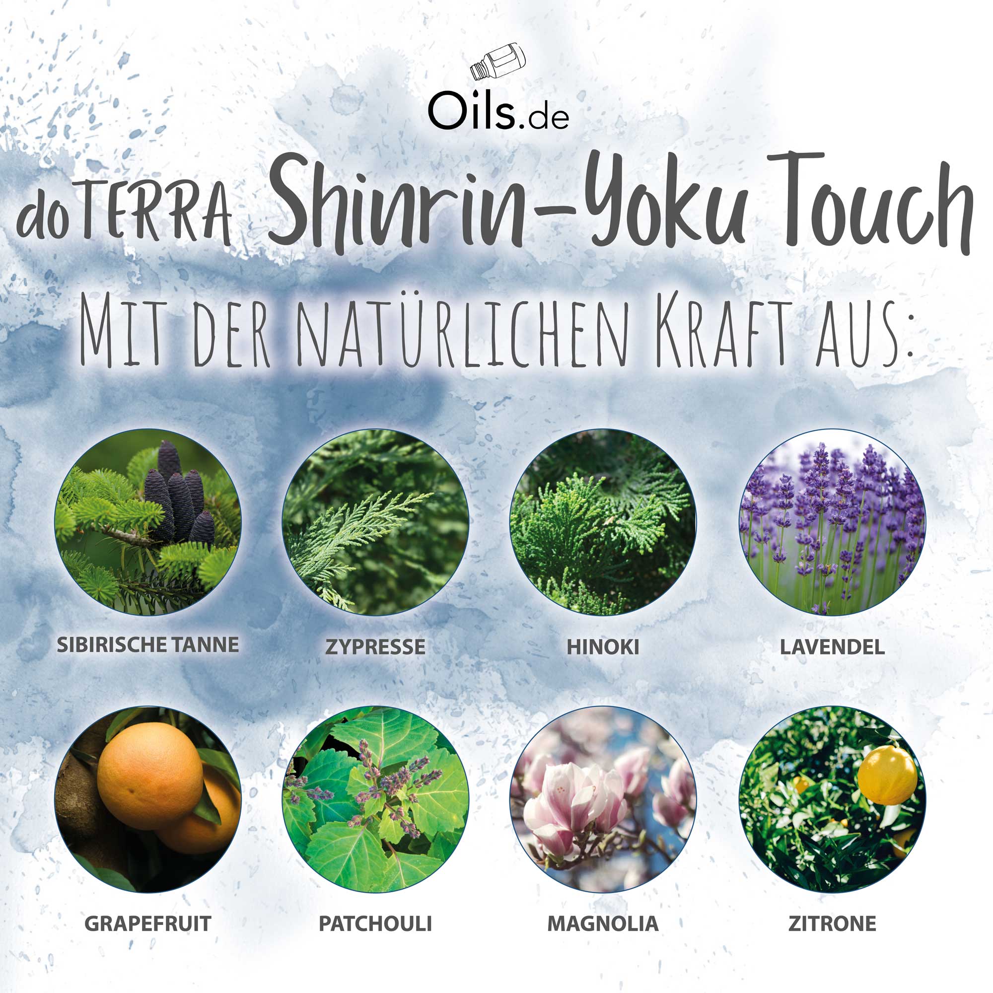 doTERRA-Shinrin-Yoku-Touch-Herkunft doTERRA Shinrin Yoku Touch | Inhaltsstoffe