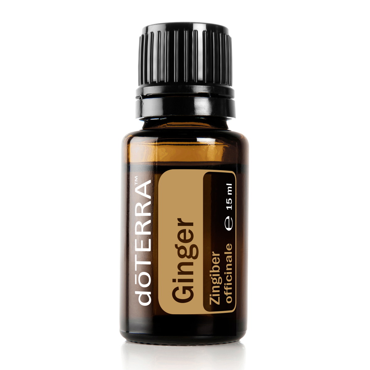 doTERRA_aetherische-Oele_Ingwer-Oel_Ginger-Oil_60204669 doTERRA Ingwer (Ginger) 15ml