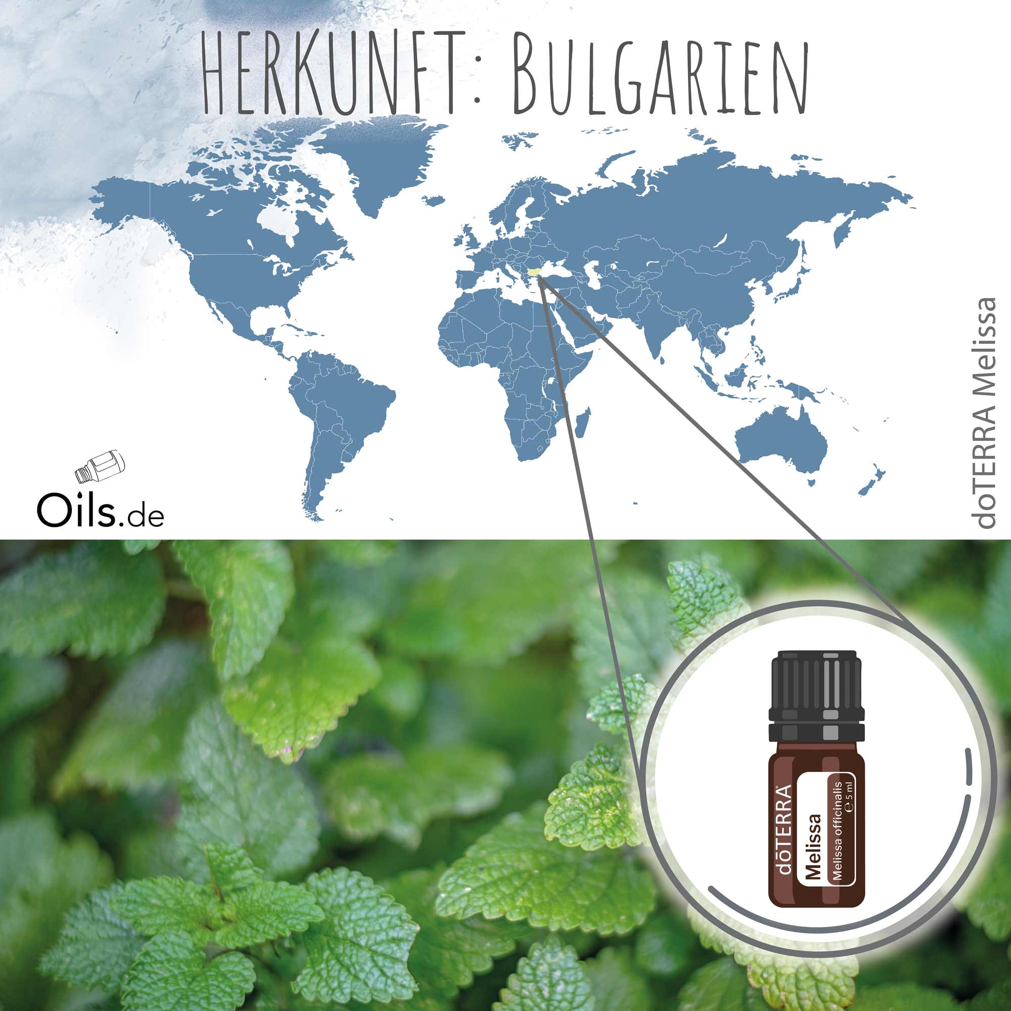 doTERRA Zitronenmelisse | Melissa | Herkunft