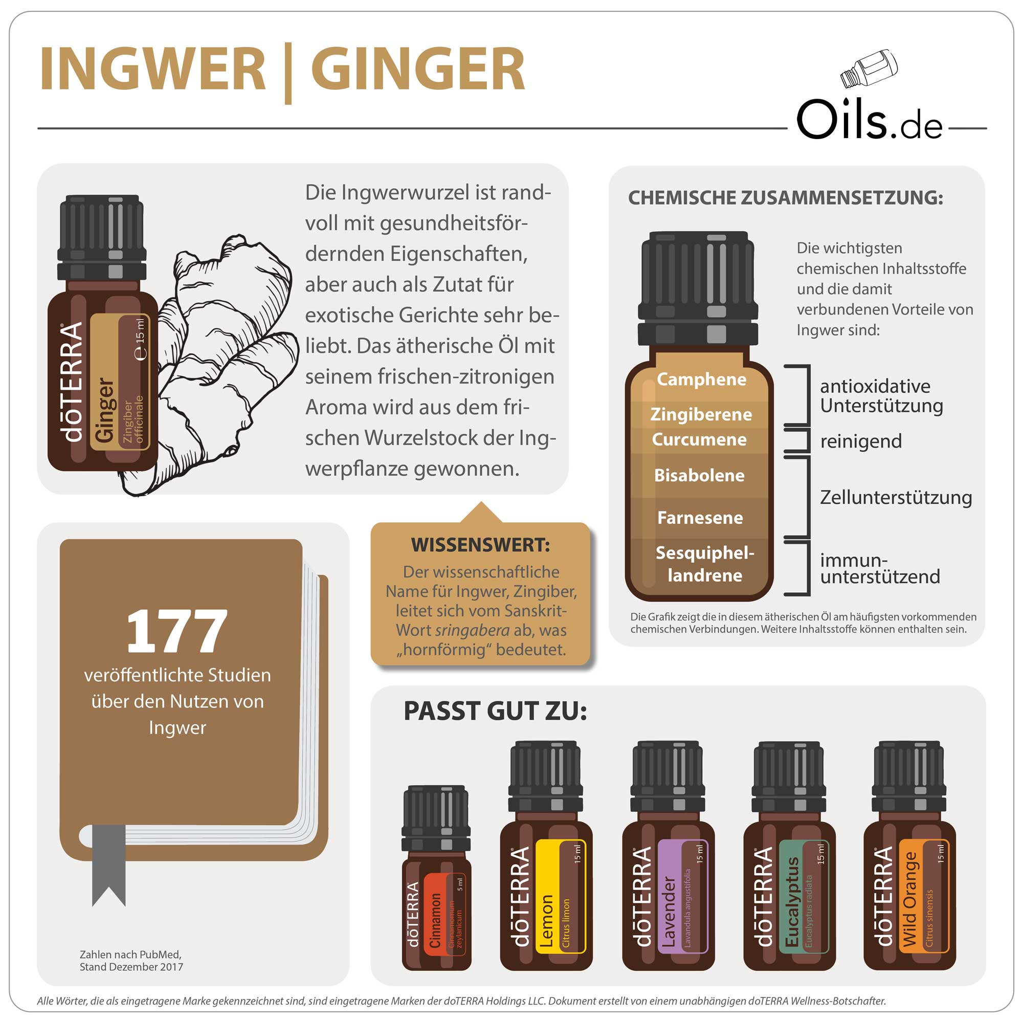 doTERRA Ingwer | Ginger | Information