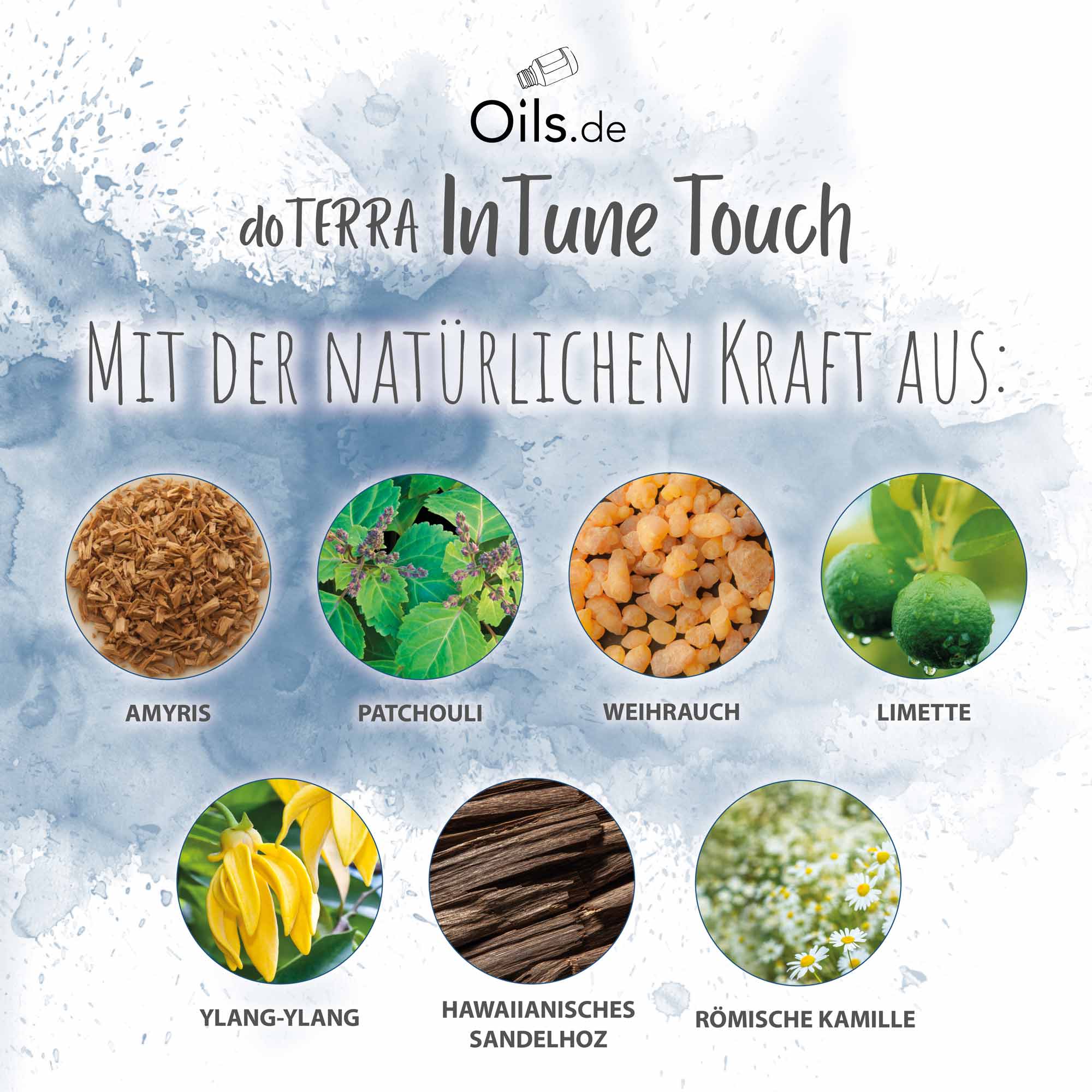 doTERRA InTune Touch | Inhaltsstoffe