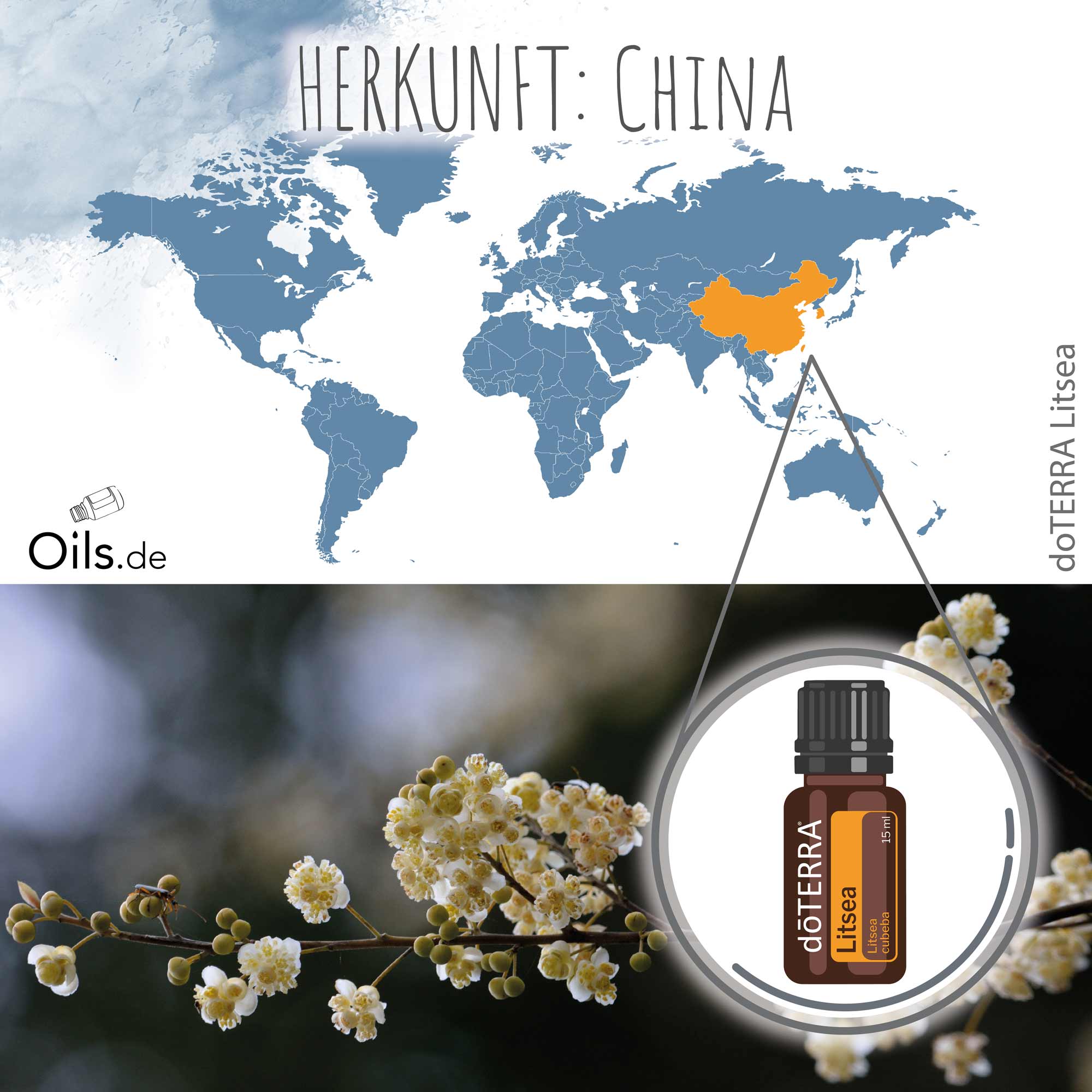 doTERRA Litsea Herkunft