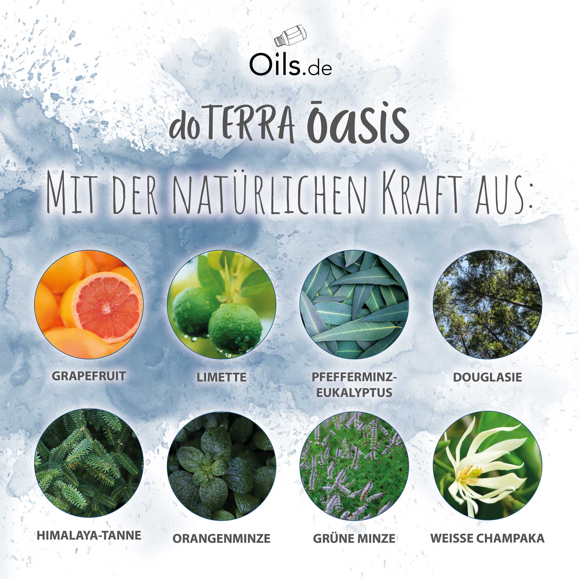 doTERRA ōasis | Inhaltsstoffe