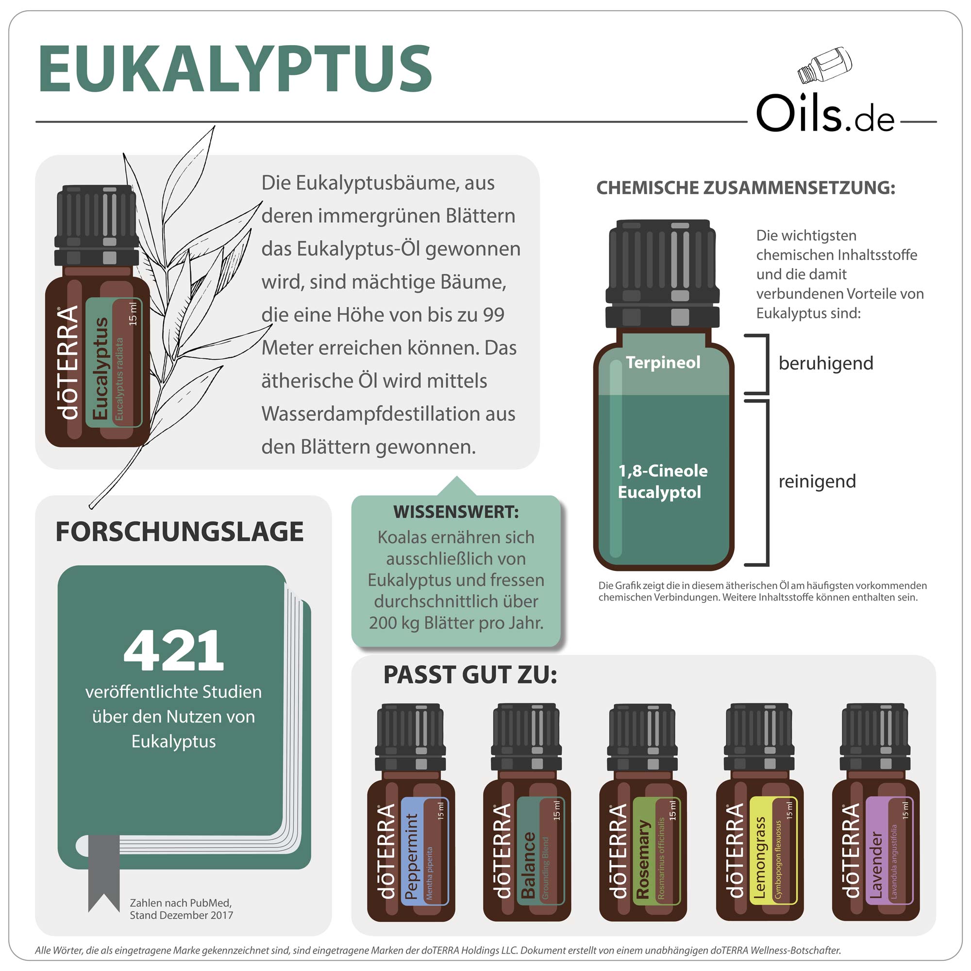 doTERRA Eukalyptus | Eucalyptus | Informationen