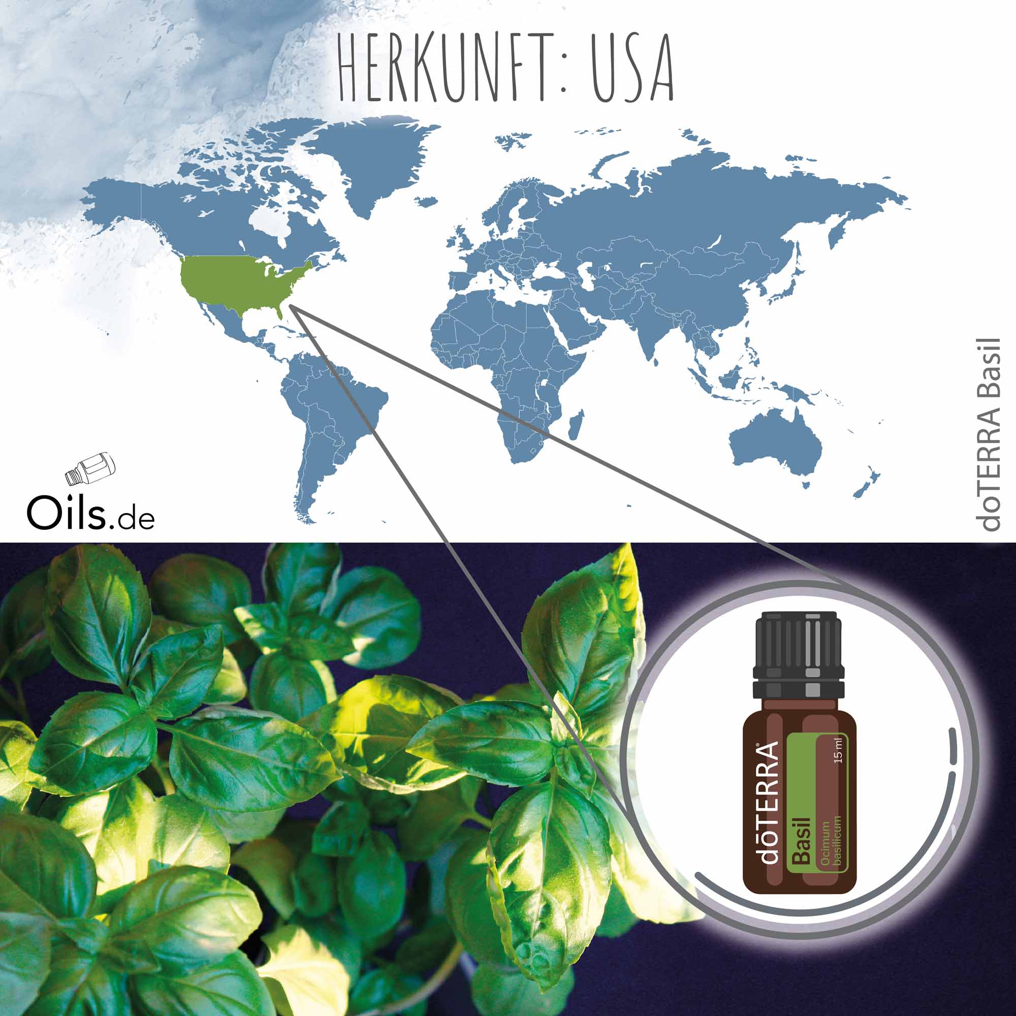 doTERRA Basilikum Herkunft