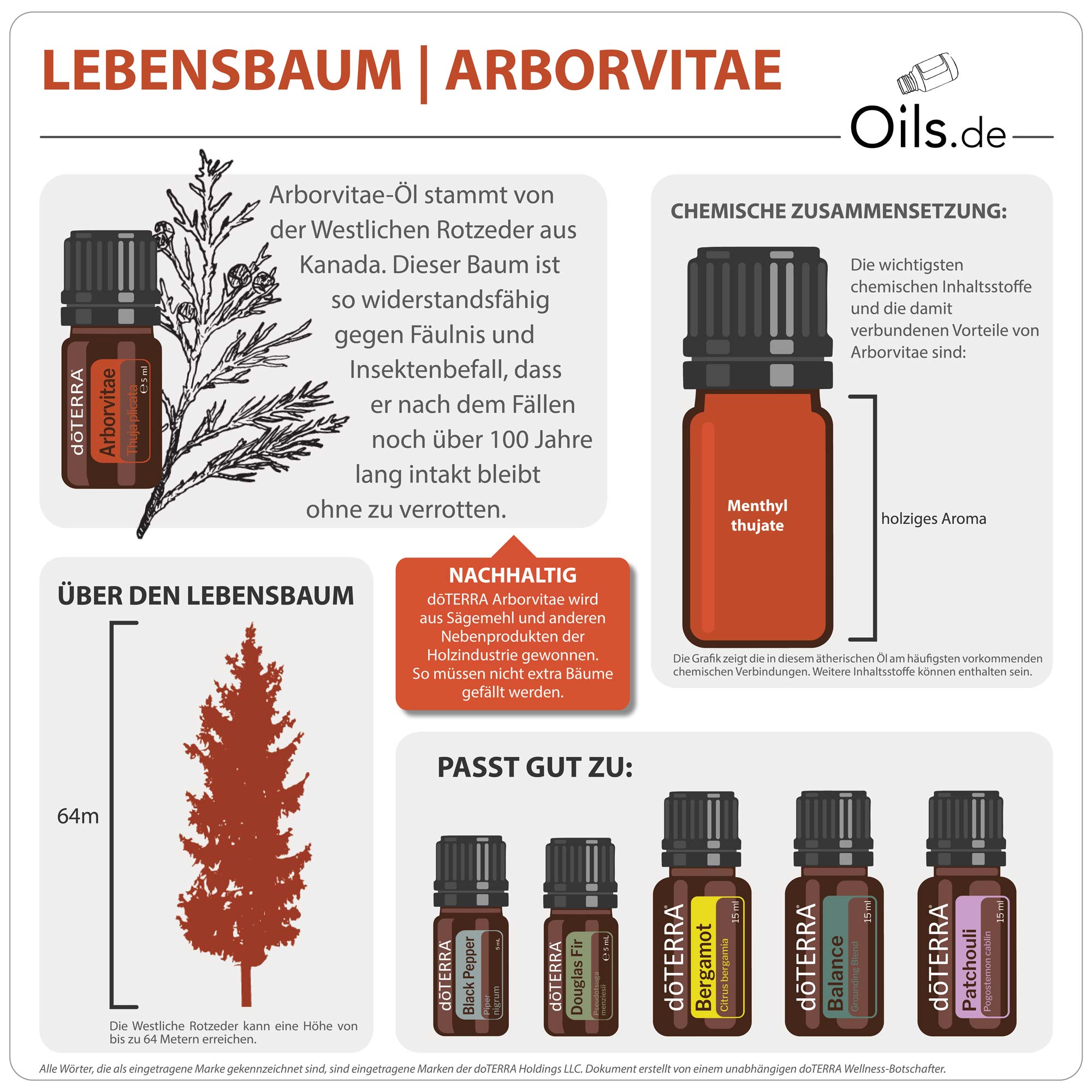 doTERRA Lebensbaum | Arborvitae | Informationen