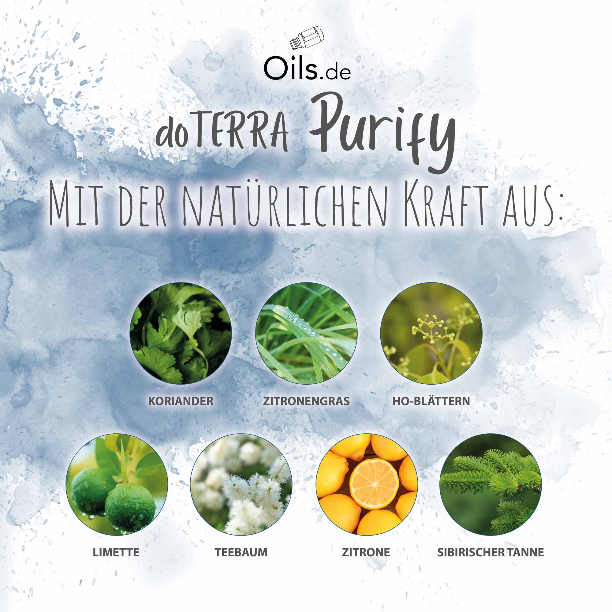 doTERRA Purify Inhaltsstoffe