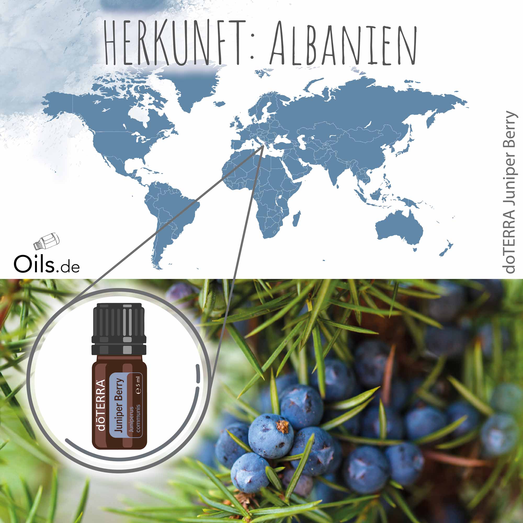 doTERRA-Wacholderbeere-Herkunft doTERRA Wacholderbeere Herkunft