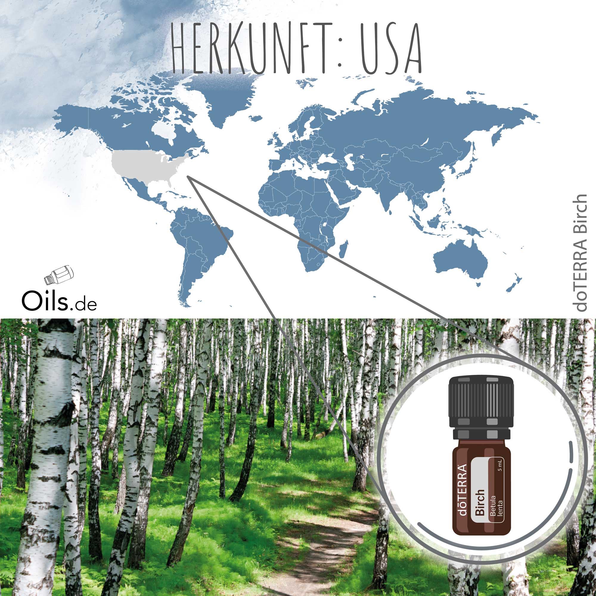 doTERRA Birch | Birke | Herkunft