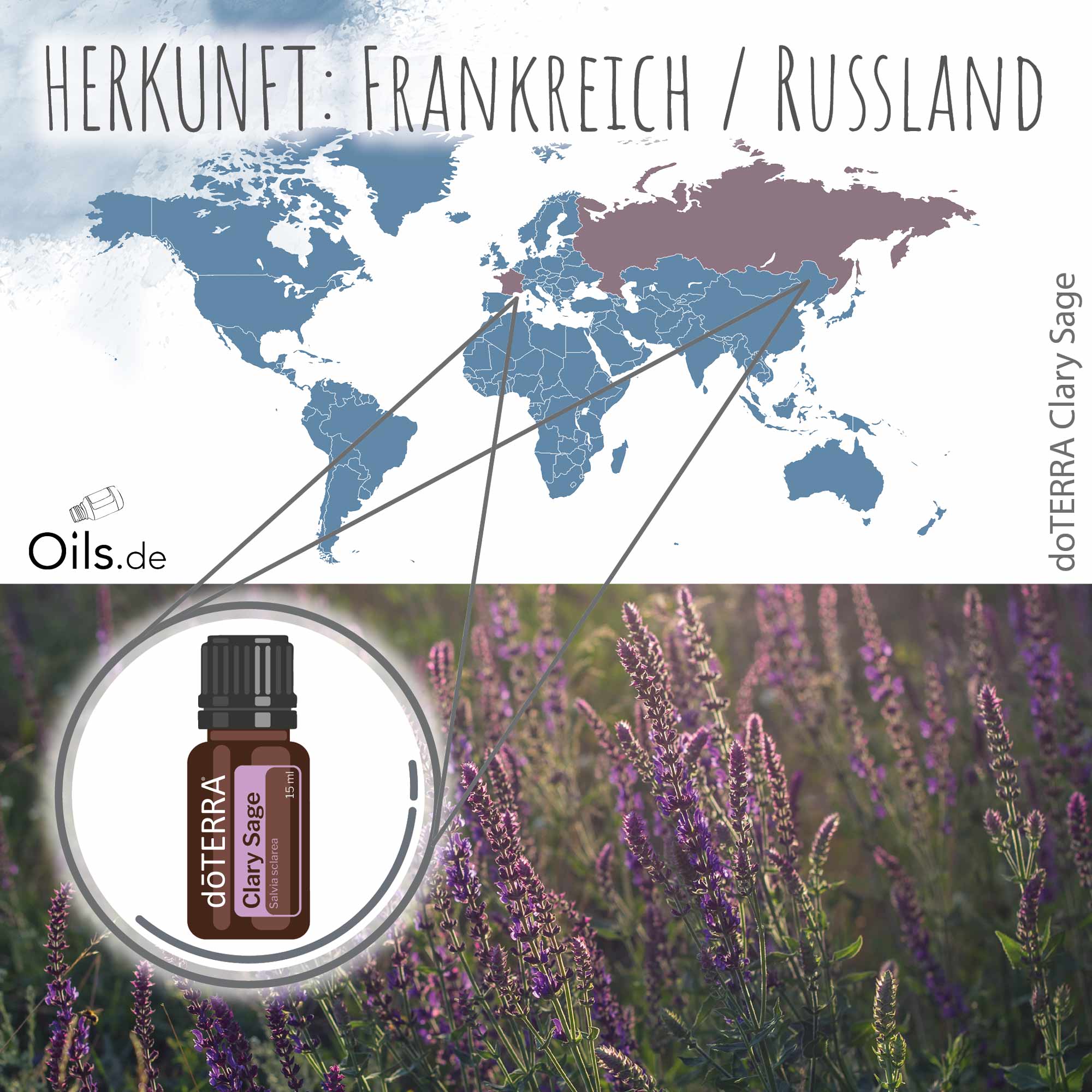 doTERRA Muskatellersalbei Clary Sage Herkunft