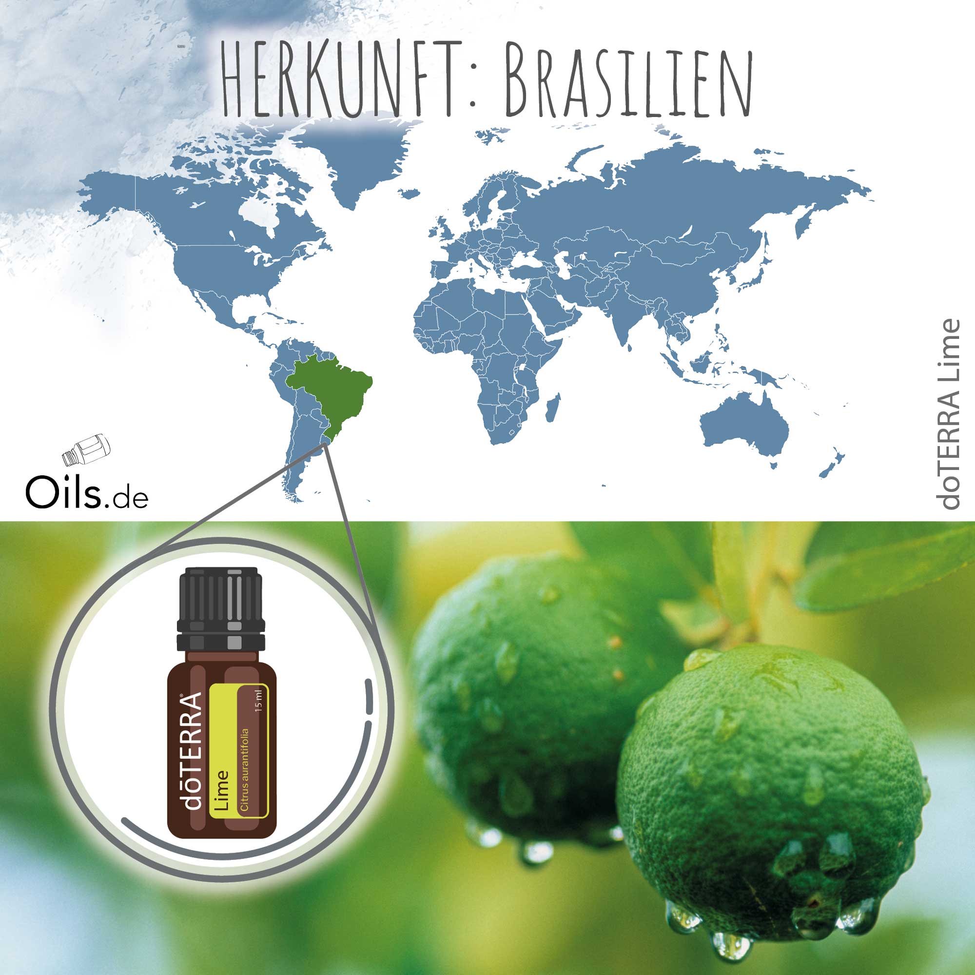 doTERRA Limette Lime Herkunft