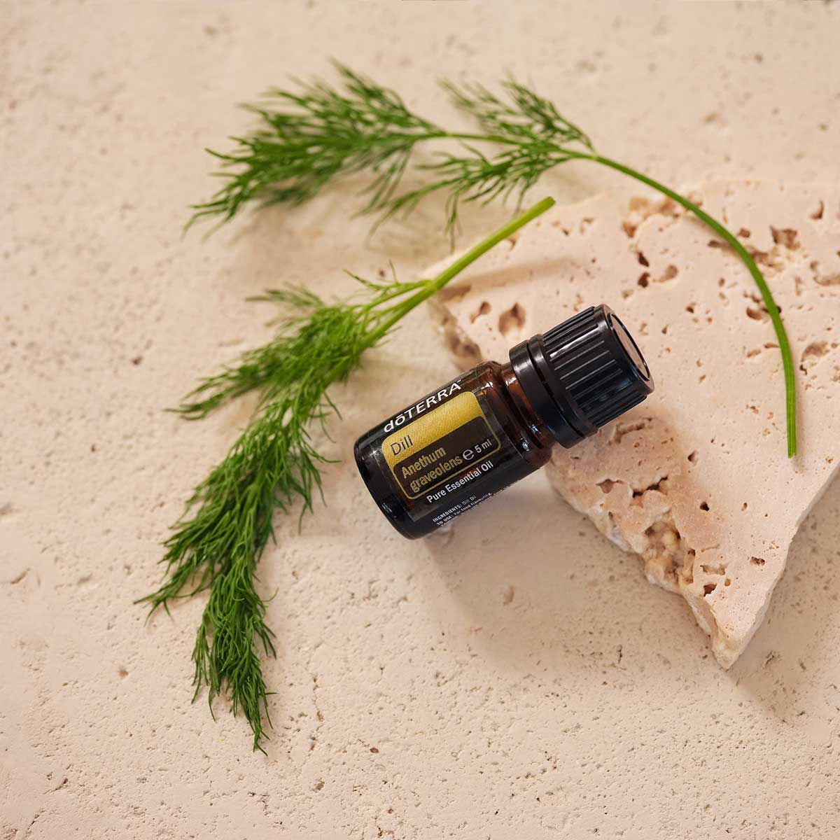doTERRA-Dill-liveeZzabUu0BGtYk doTERRA Dill 5ml