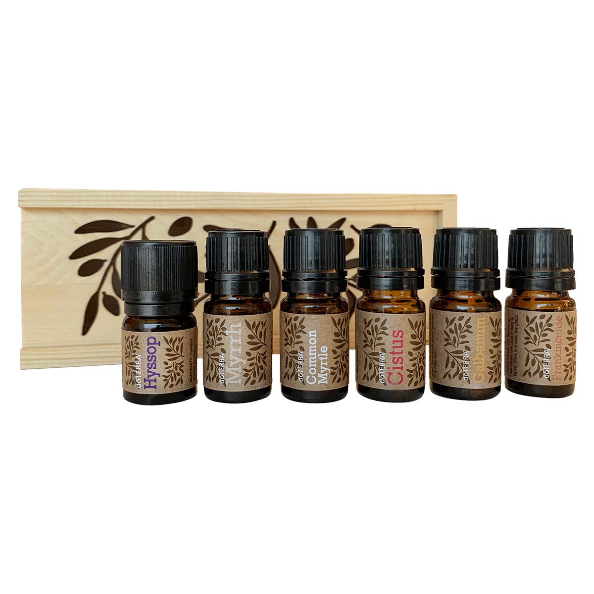 doTERRA-Ancient-Oils-Collection-Kit-Sammlung-antiker-Oele-6-teilig doTERRA Sammlung antiker Öle (Ancient Oils Collection Kit) - 6-teilig