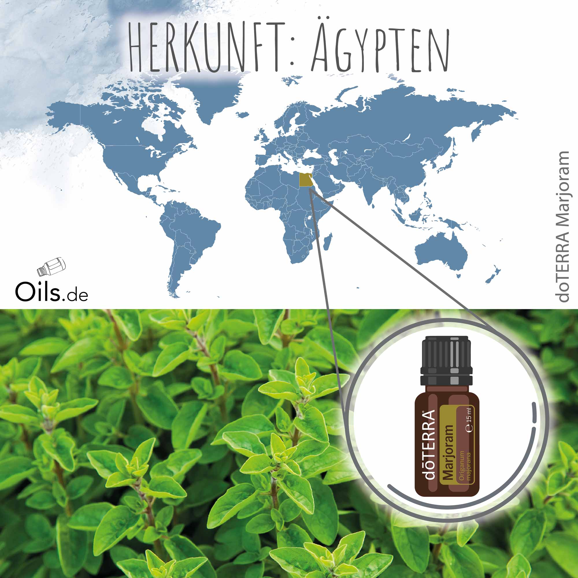 doTERRA Majoran Herkunft