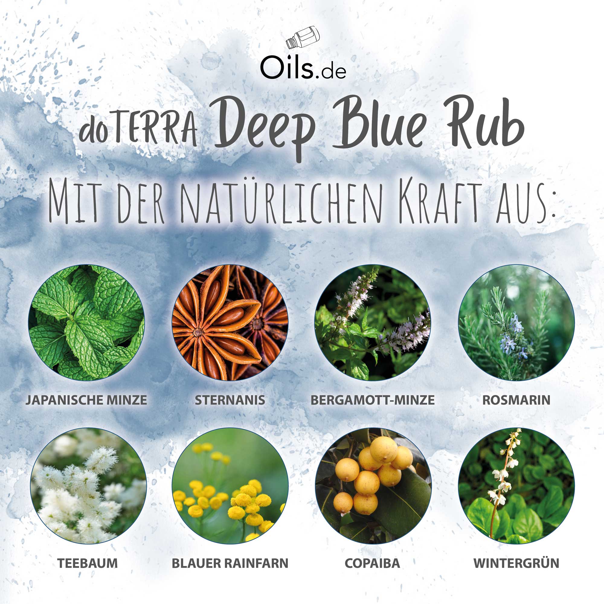doTERRA Deep Blue Rub | Inhaltsstoffe