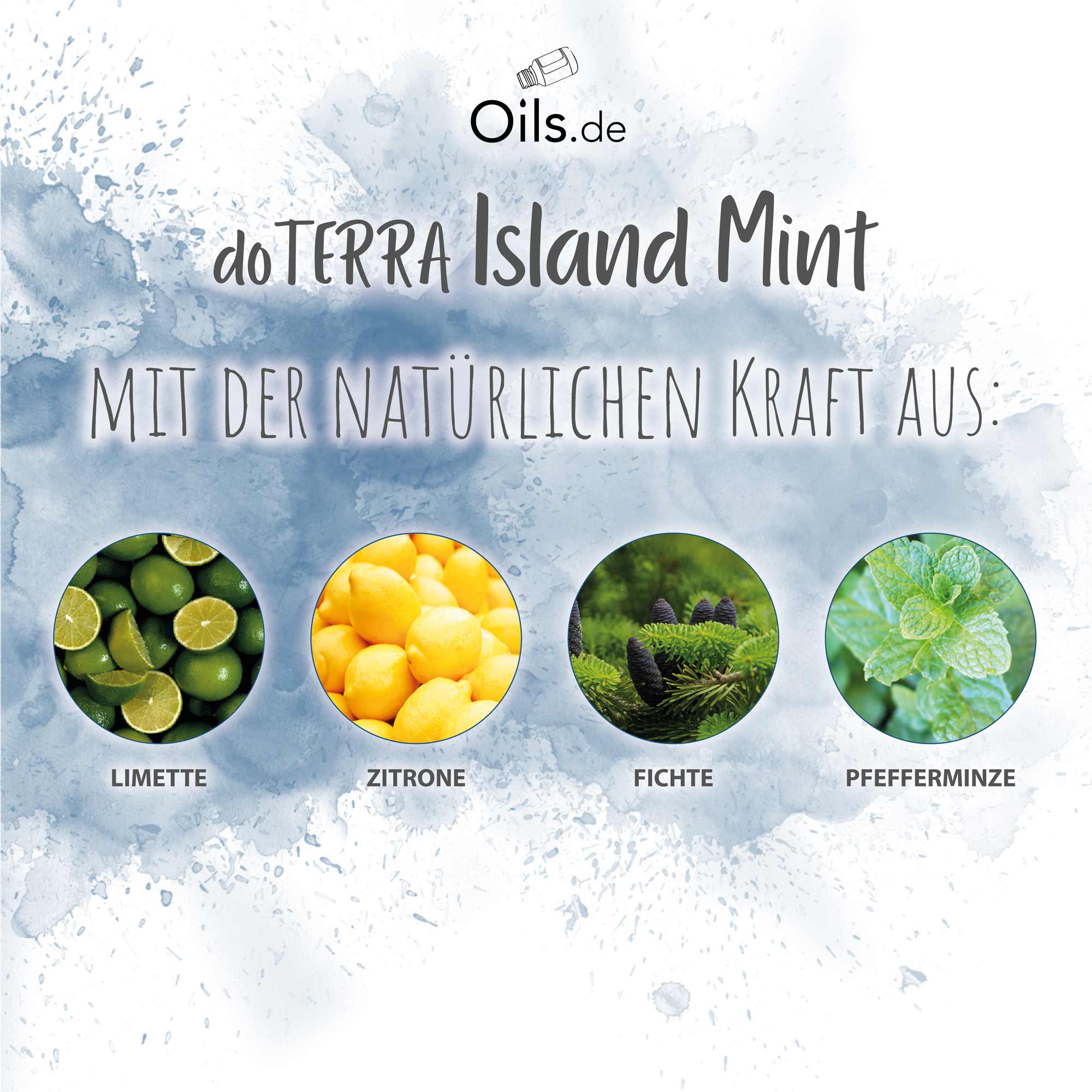 doTERRA Island Mint | Inhaltsstoffe