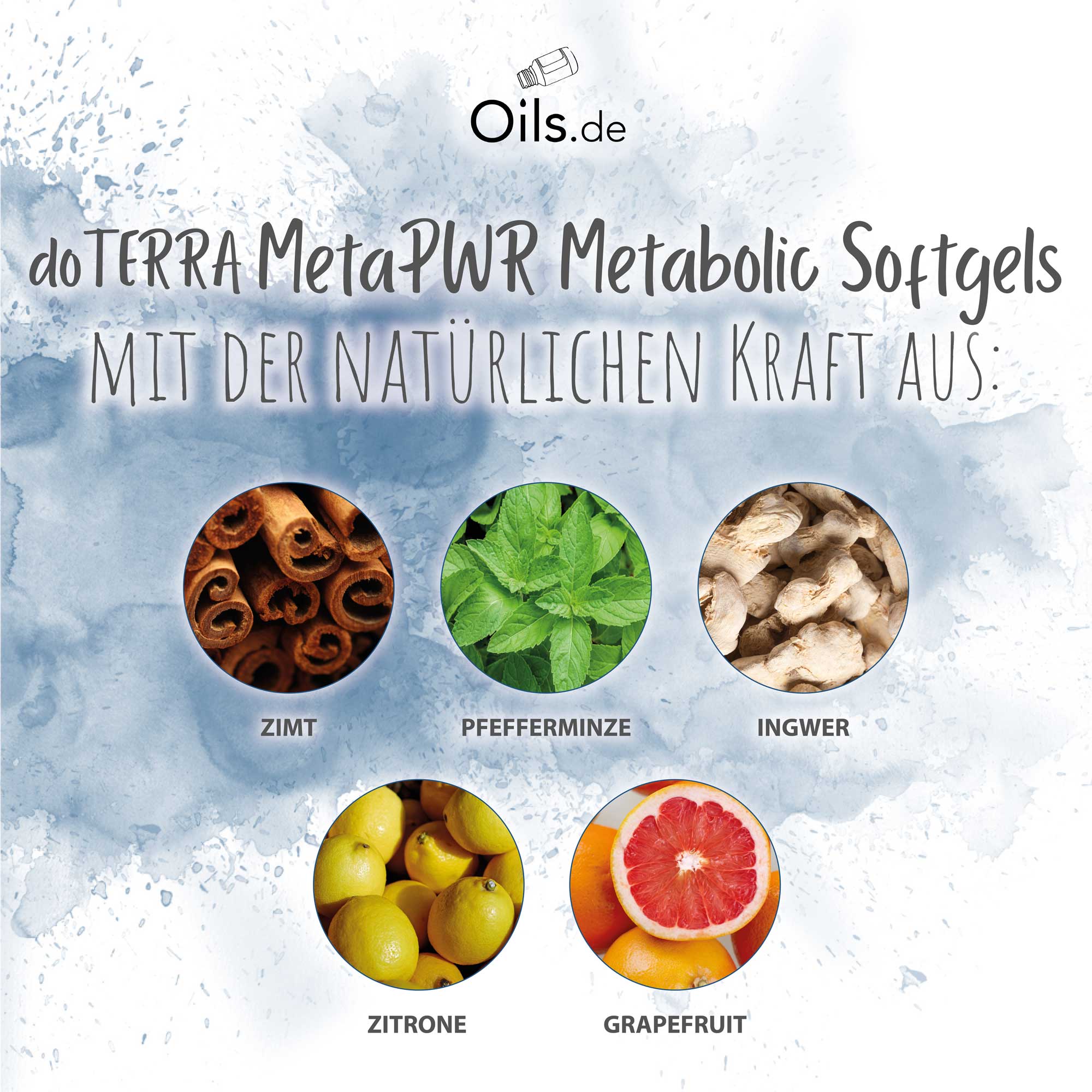 doTERRA MetaPWR Metabolic Softgels | Inhaltsstoffe