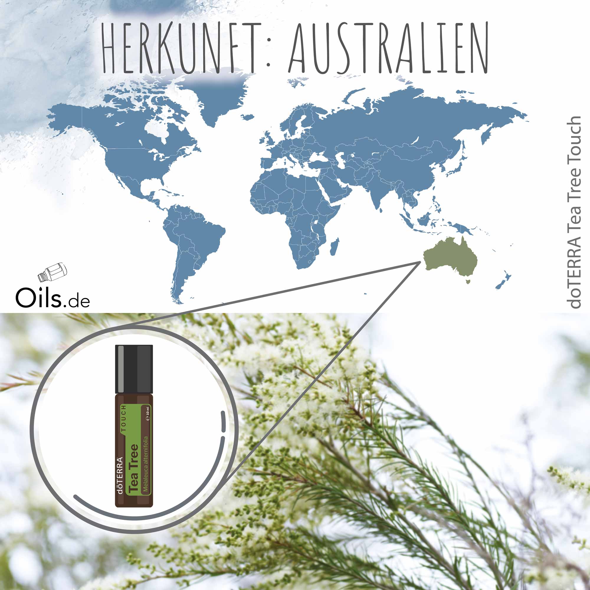 doTERRA-Teebaum-Touch-Herkunft doTERRA Teebaum Touch Herkunft