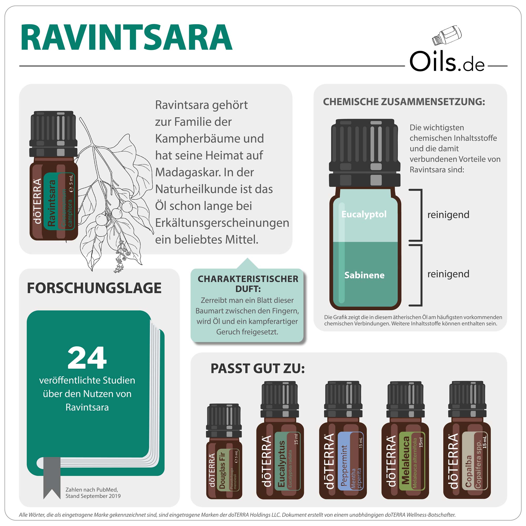 doTERRA Ravintsara | Informationen