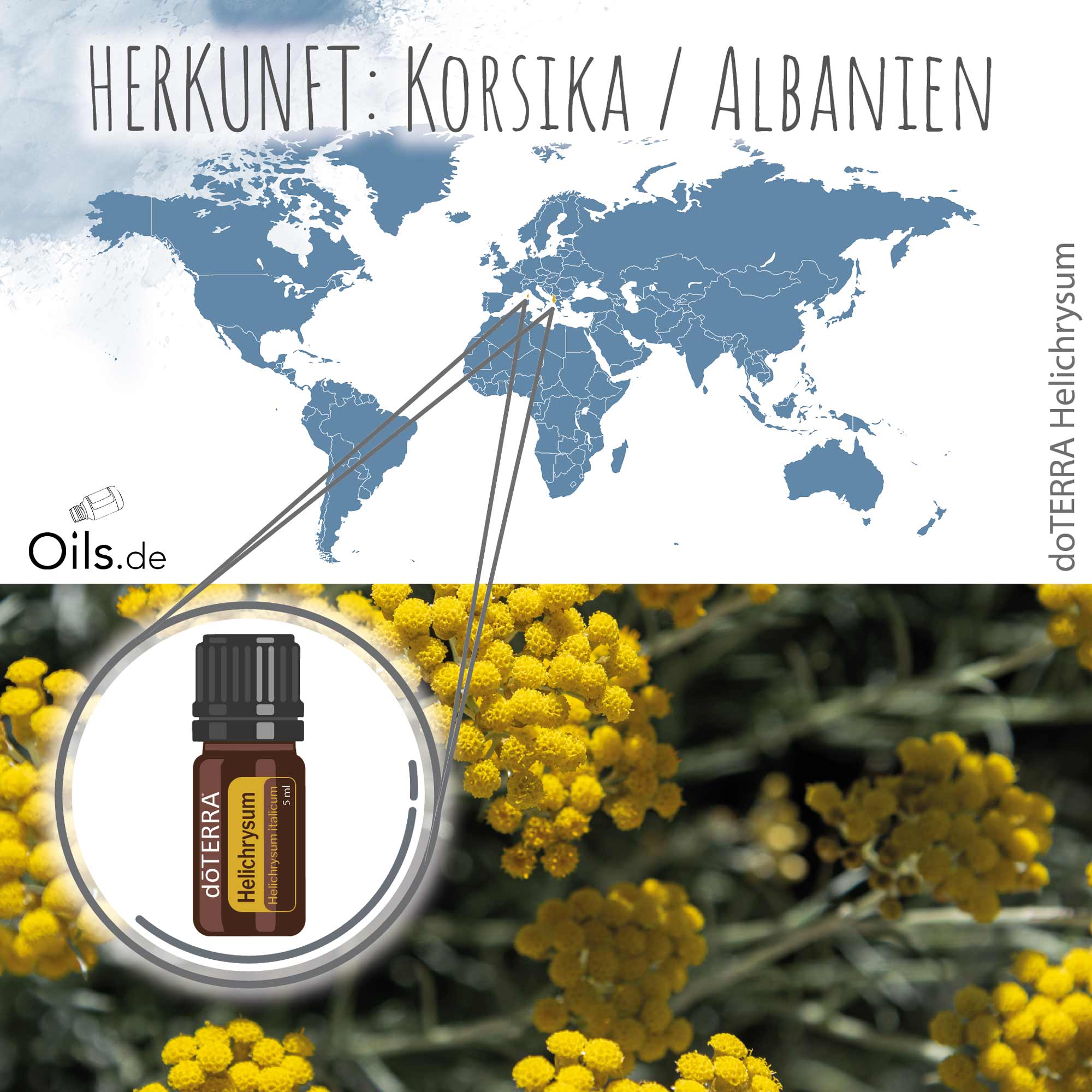 doTERRA-Strohblume-Helichrysum-Herkunft doTERRA Strohblume Helichrysum Herkunft