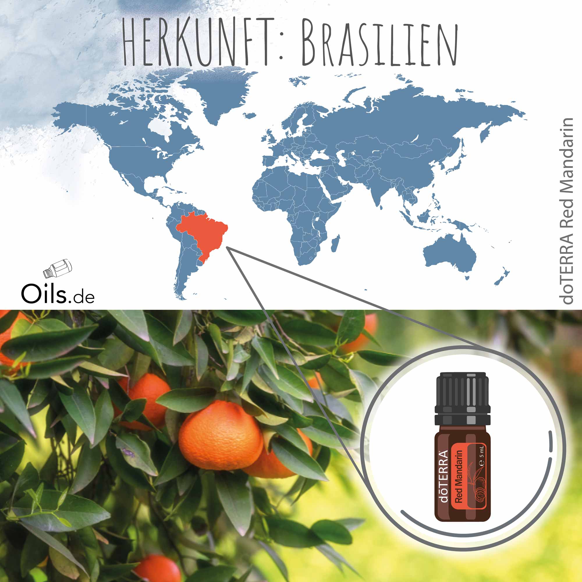 doTERRA-Rote-Mandarine-Red-Mandarin-Herkunft doTERRA Rote Mandarine | Red Mandarin | Herkunft