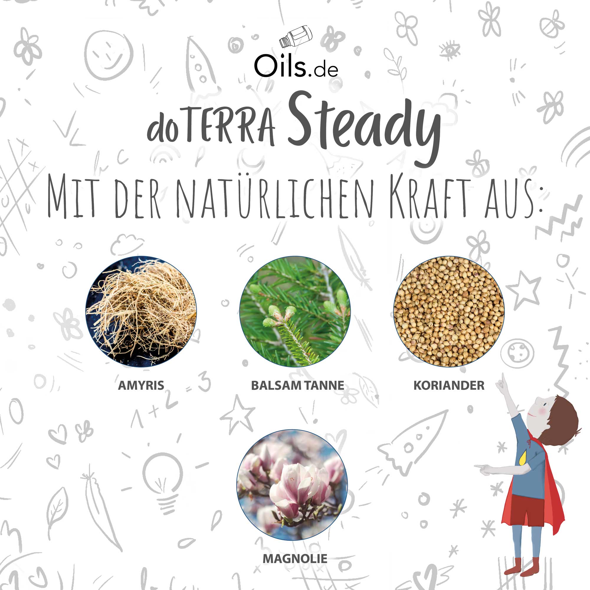 doTERRA Steady Inhaltsstoffe
