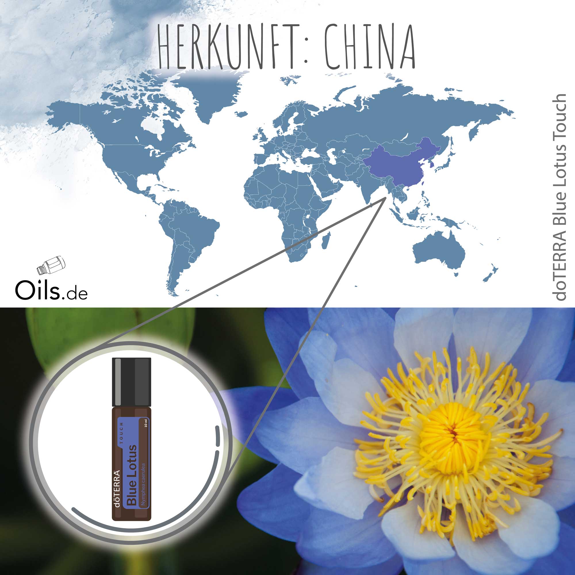 doTERRA-Blue-Lotus-Touch-Herkunft doTERRA Blue Lotus Touch | Herkunft
