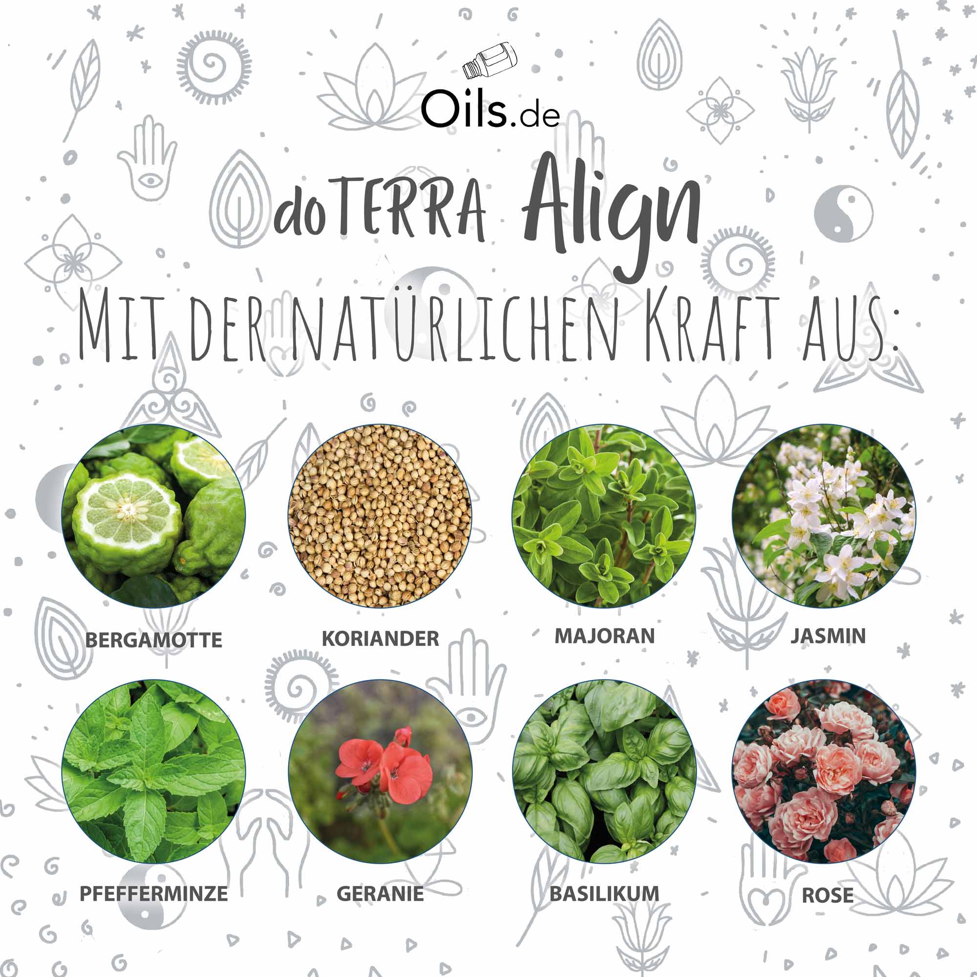 doTERRA Align | Yoga Collection | Inhaltsstoffe