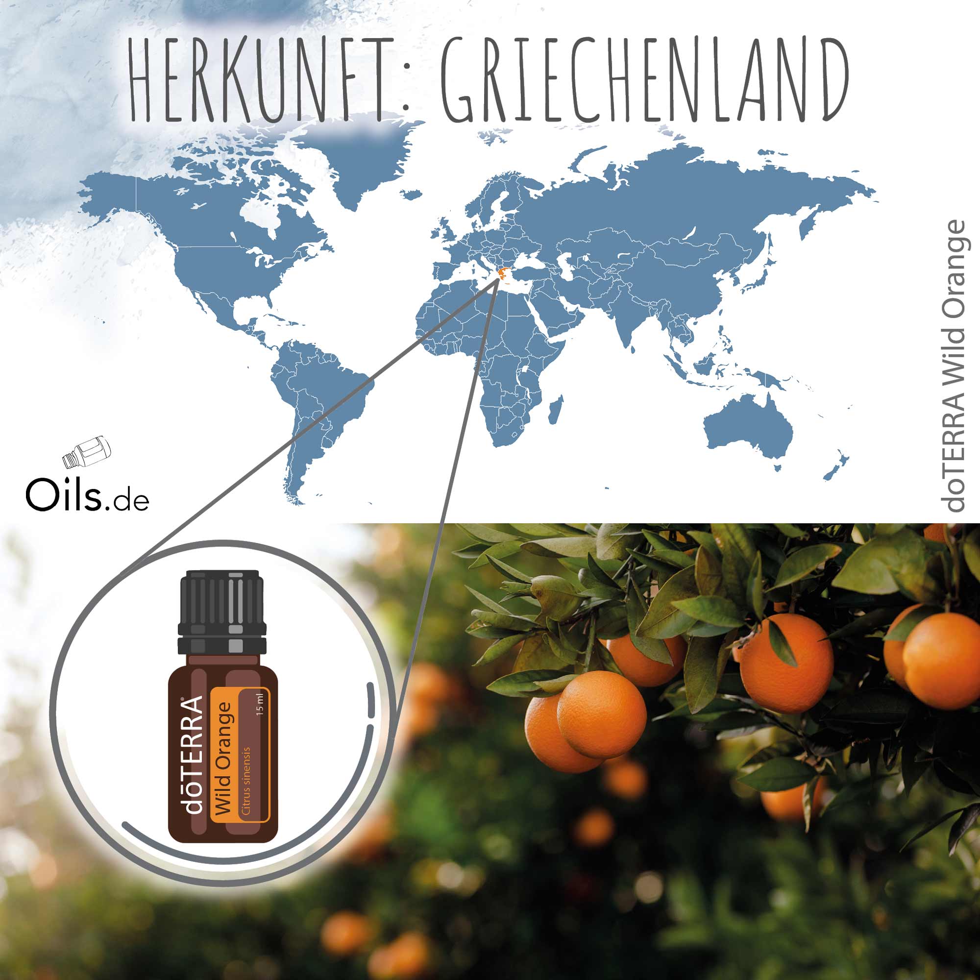 doTERRA Wild Orange | Herkunft