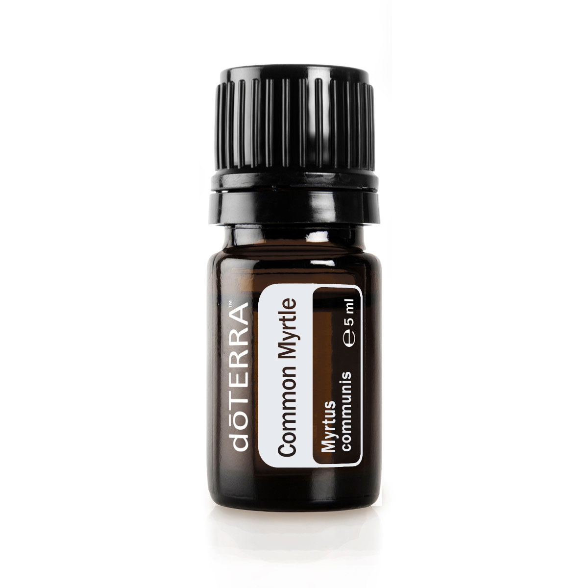 doTERRA-Common-Myrtle-Gemeine-Myrte