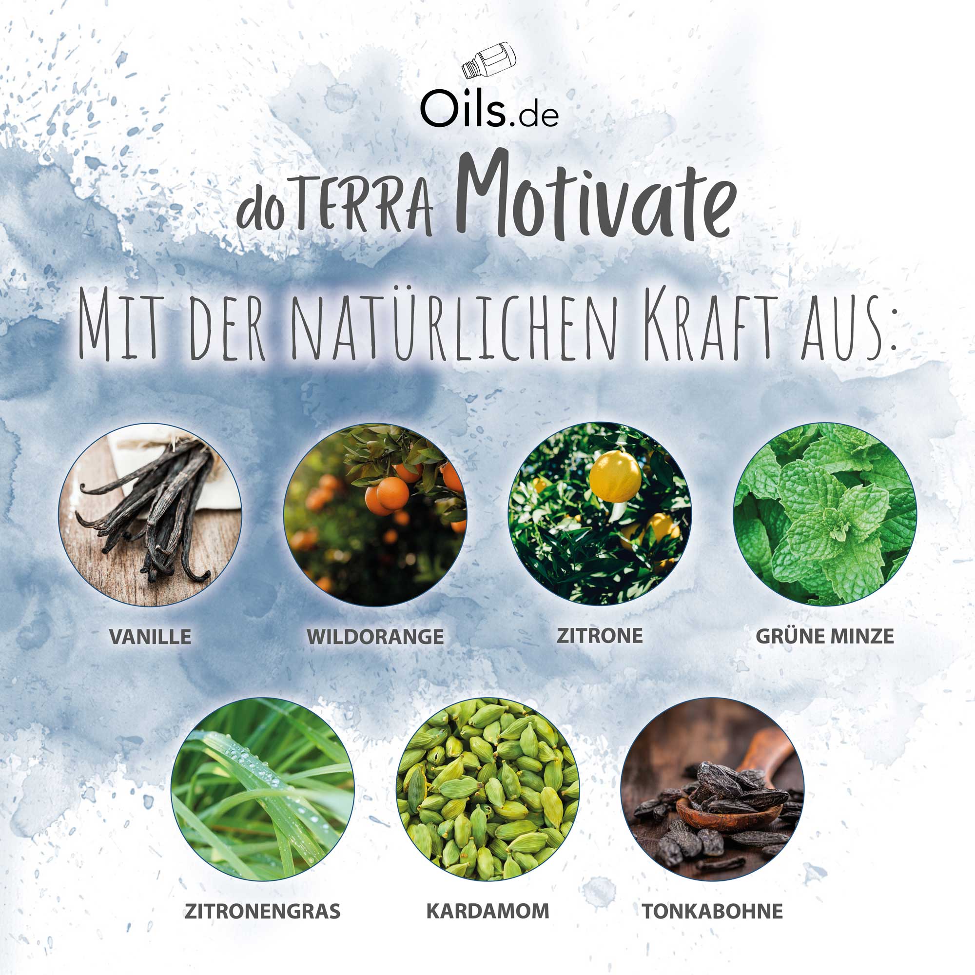 doTERRA Motivate Inhaltsstoffe