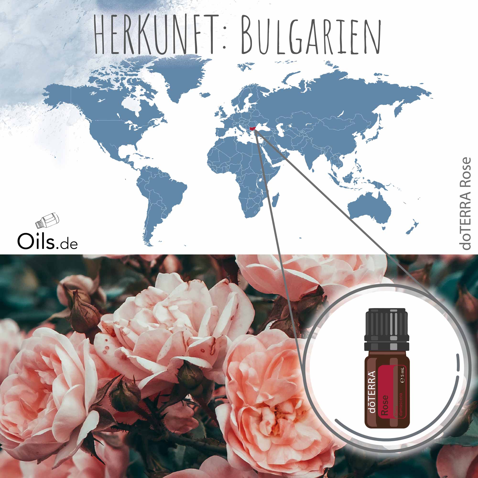 doTERRA Rose | Herkunft