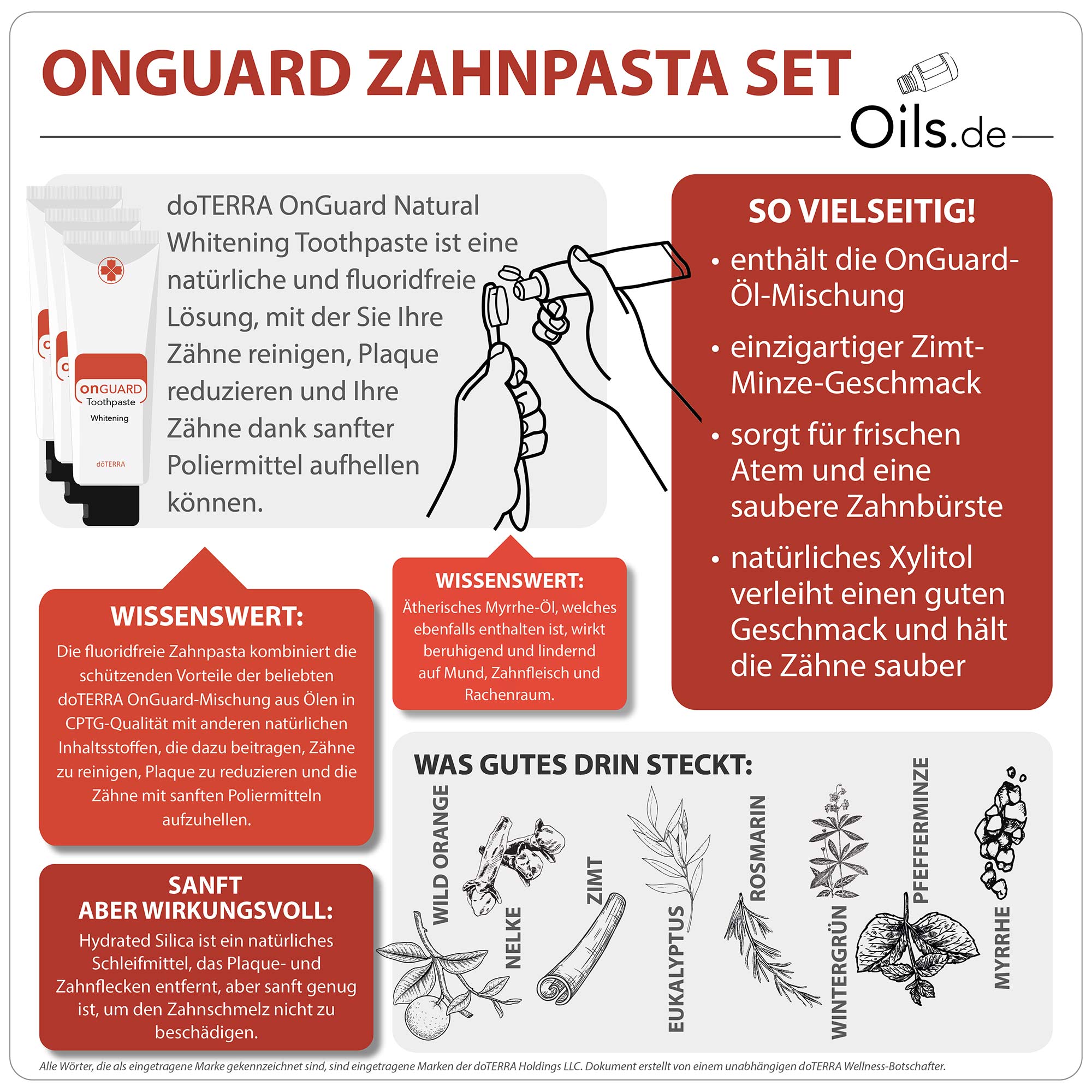 doTERRA OnGuard Zahnpasta-Set | Informationen