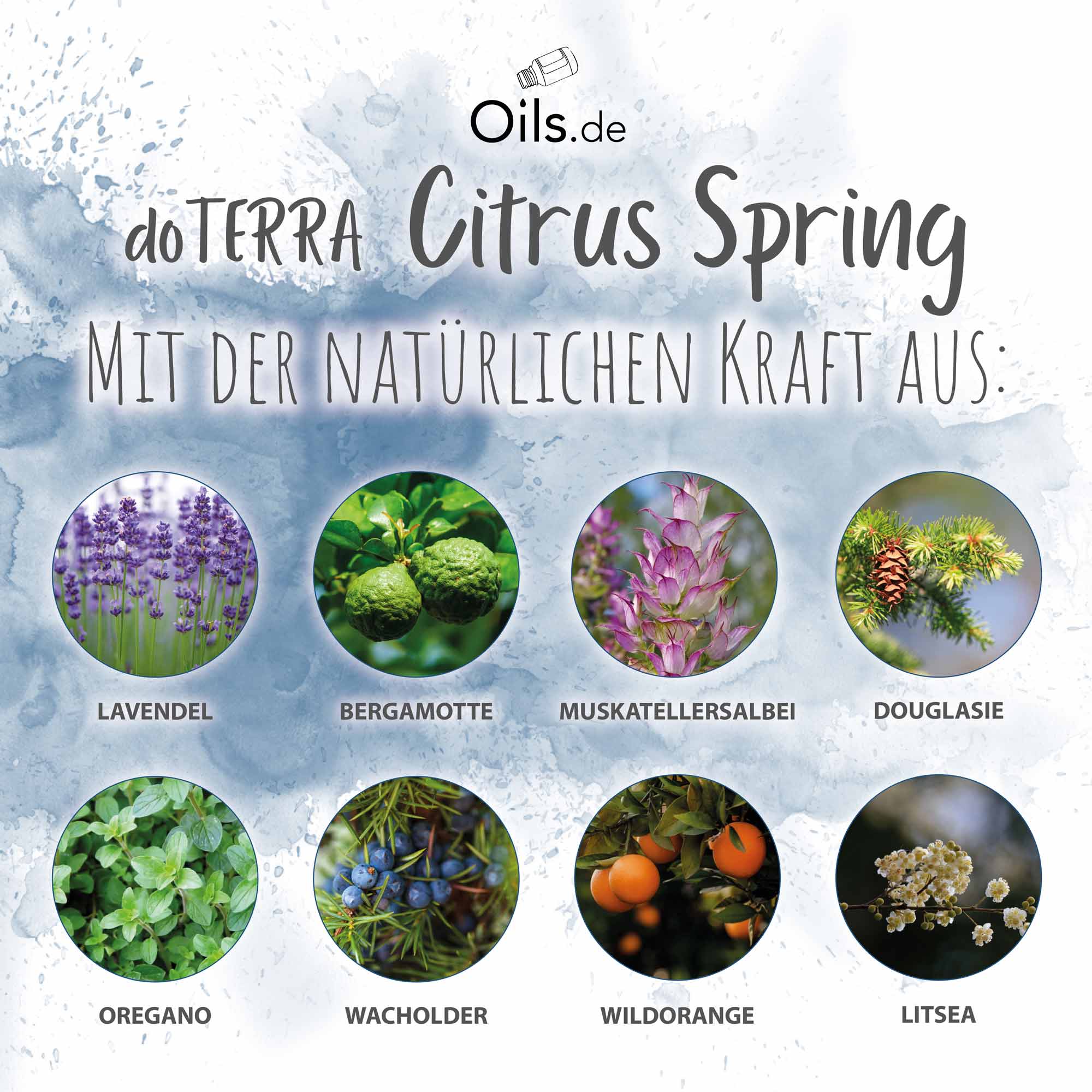doTERRA Citrus Spring | Inhaltsstoffe