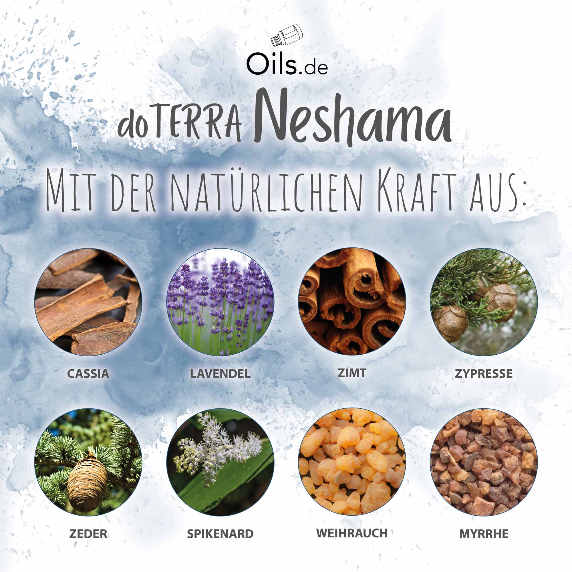 doTERRA Neshama Touch | Inhaltsstoffe