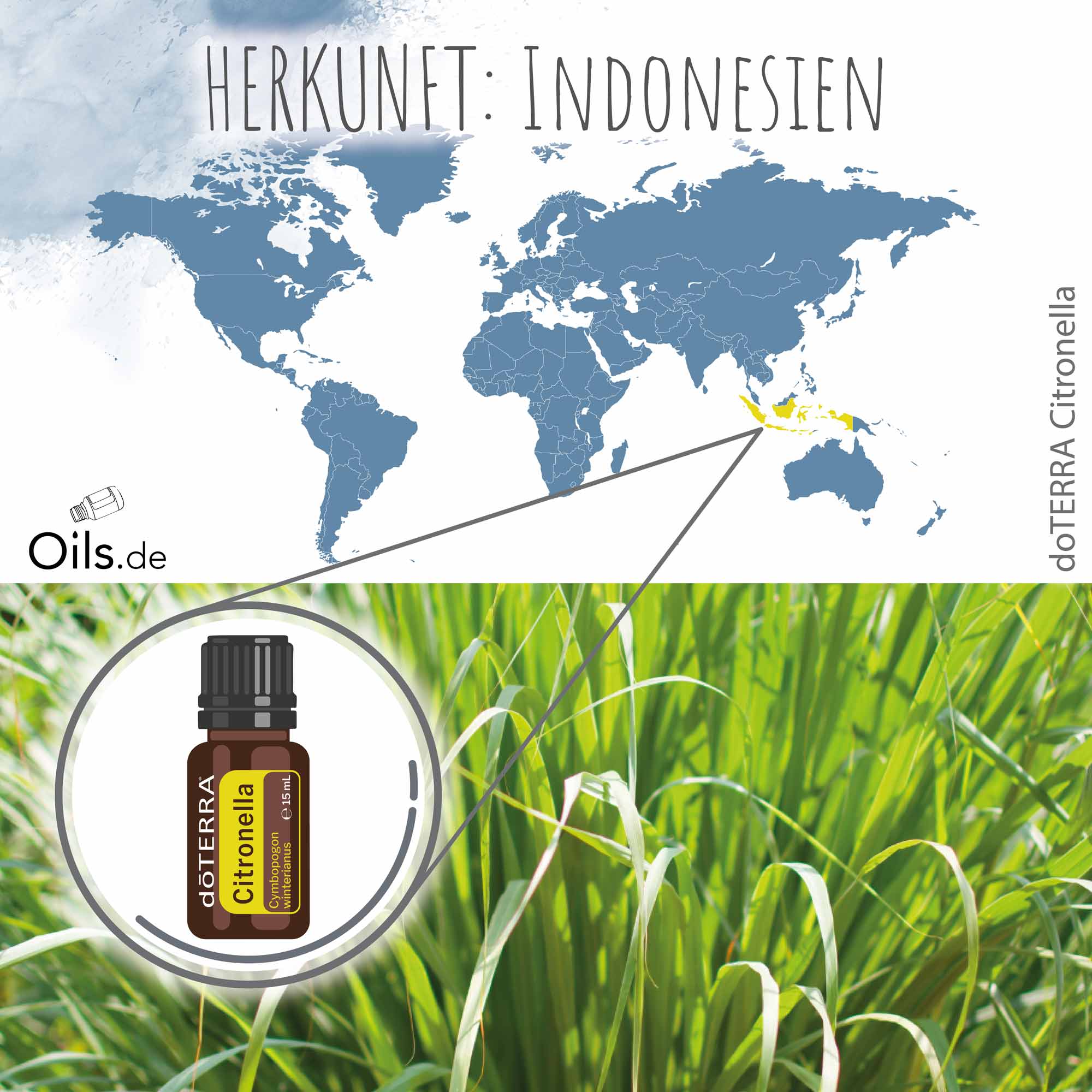 doTERRA Zitronella | Herkunft