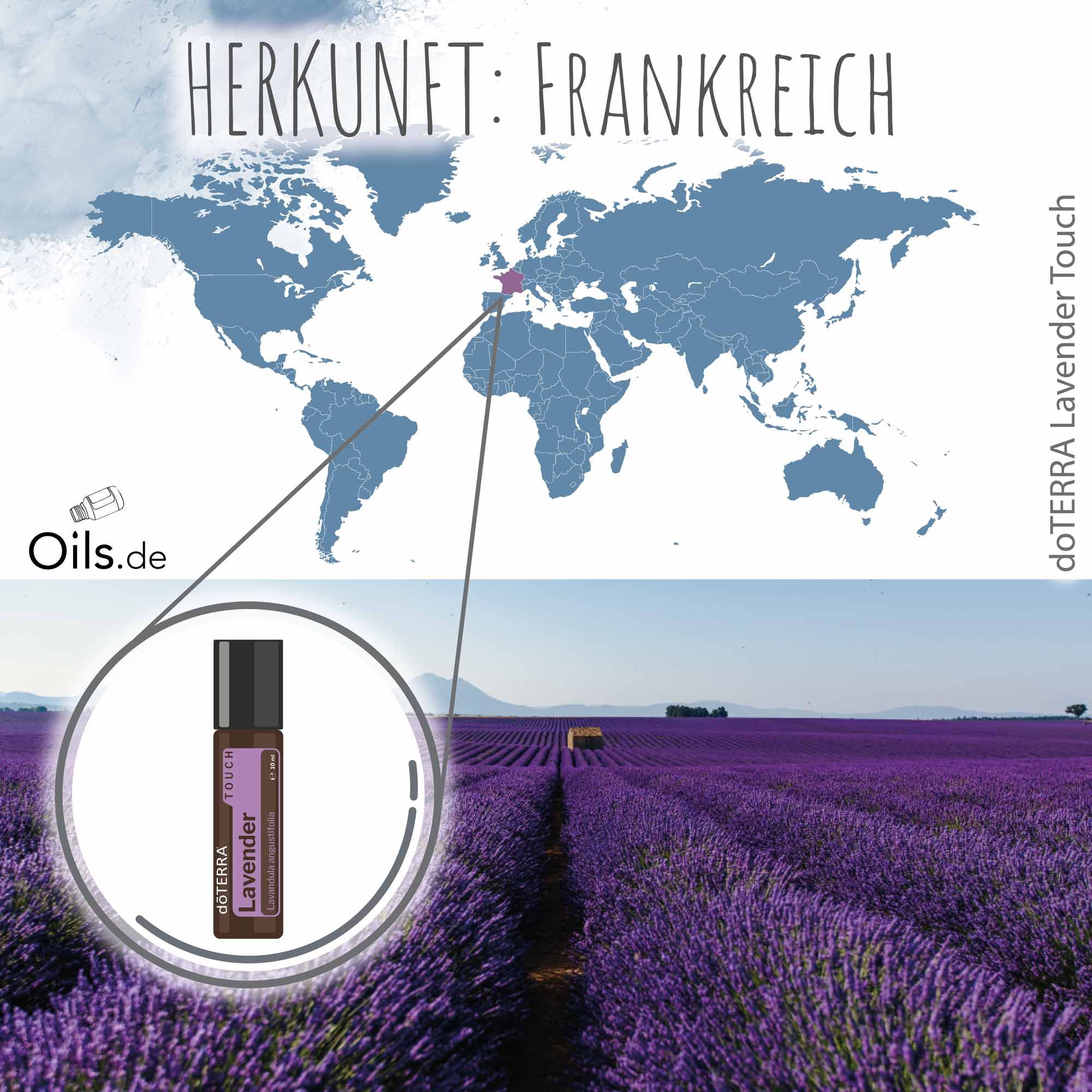 doTERRA-Lavendel-Touch-Herkunft doTERRA Lavendel Touch | Herkunft